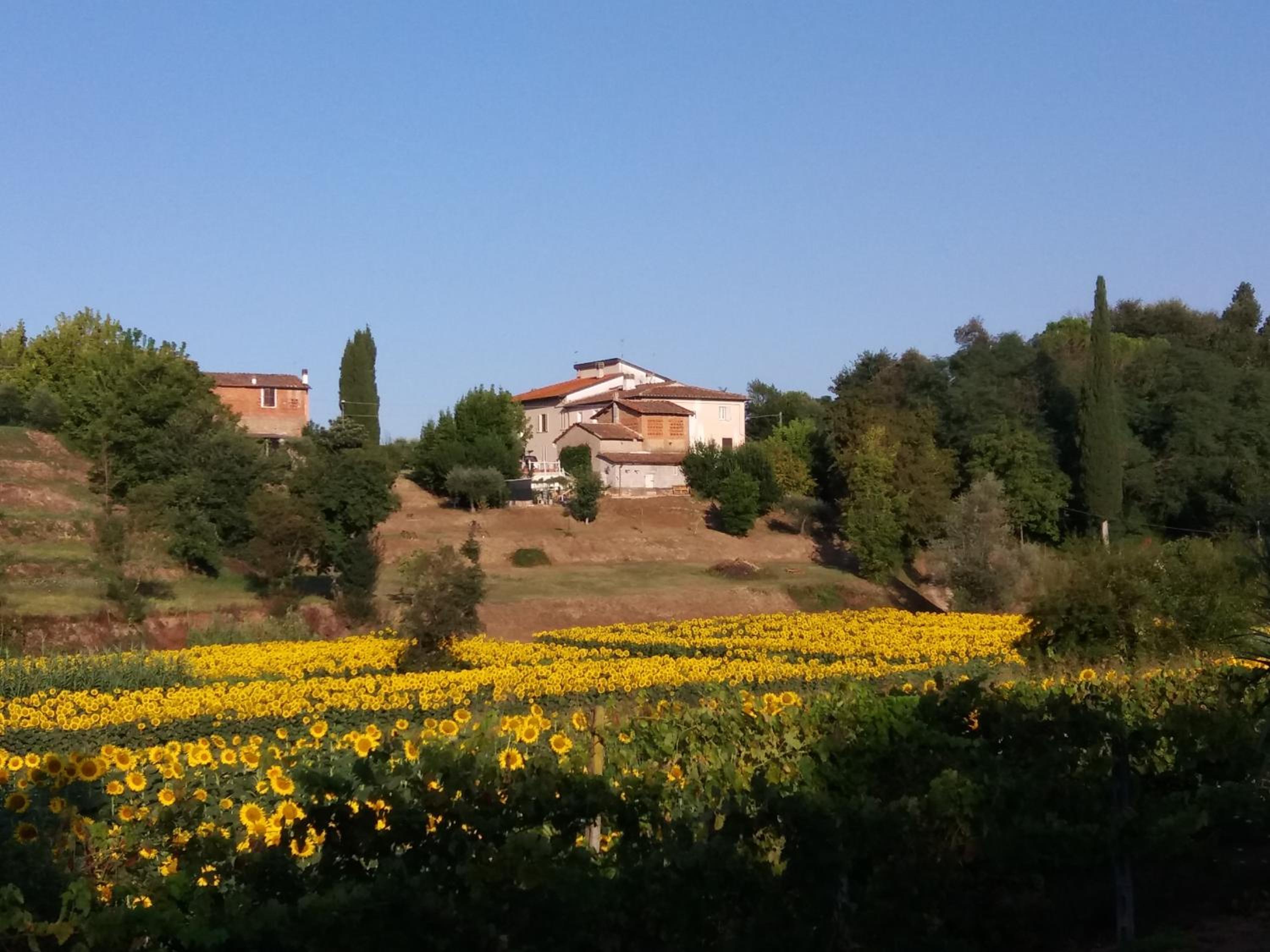 Podere Gian Battaglia