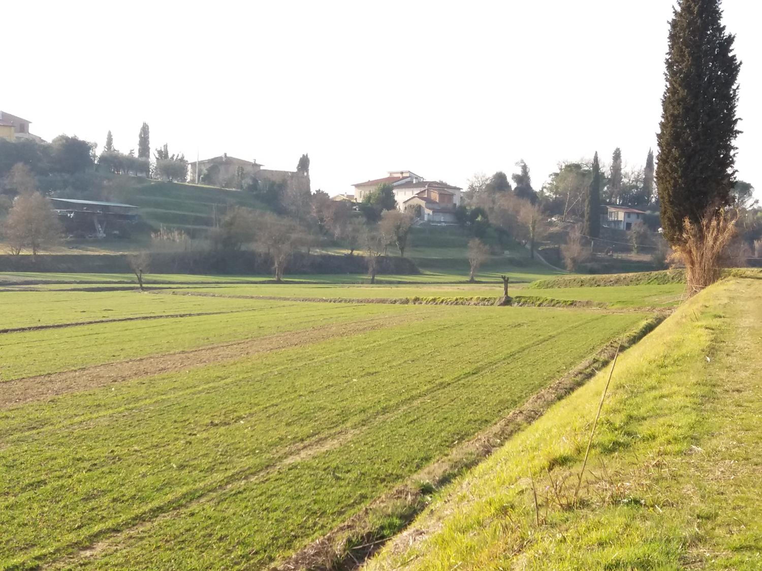 Podere Gian Battaglia