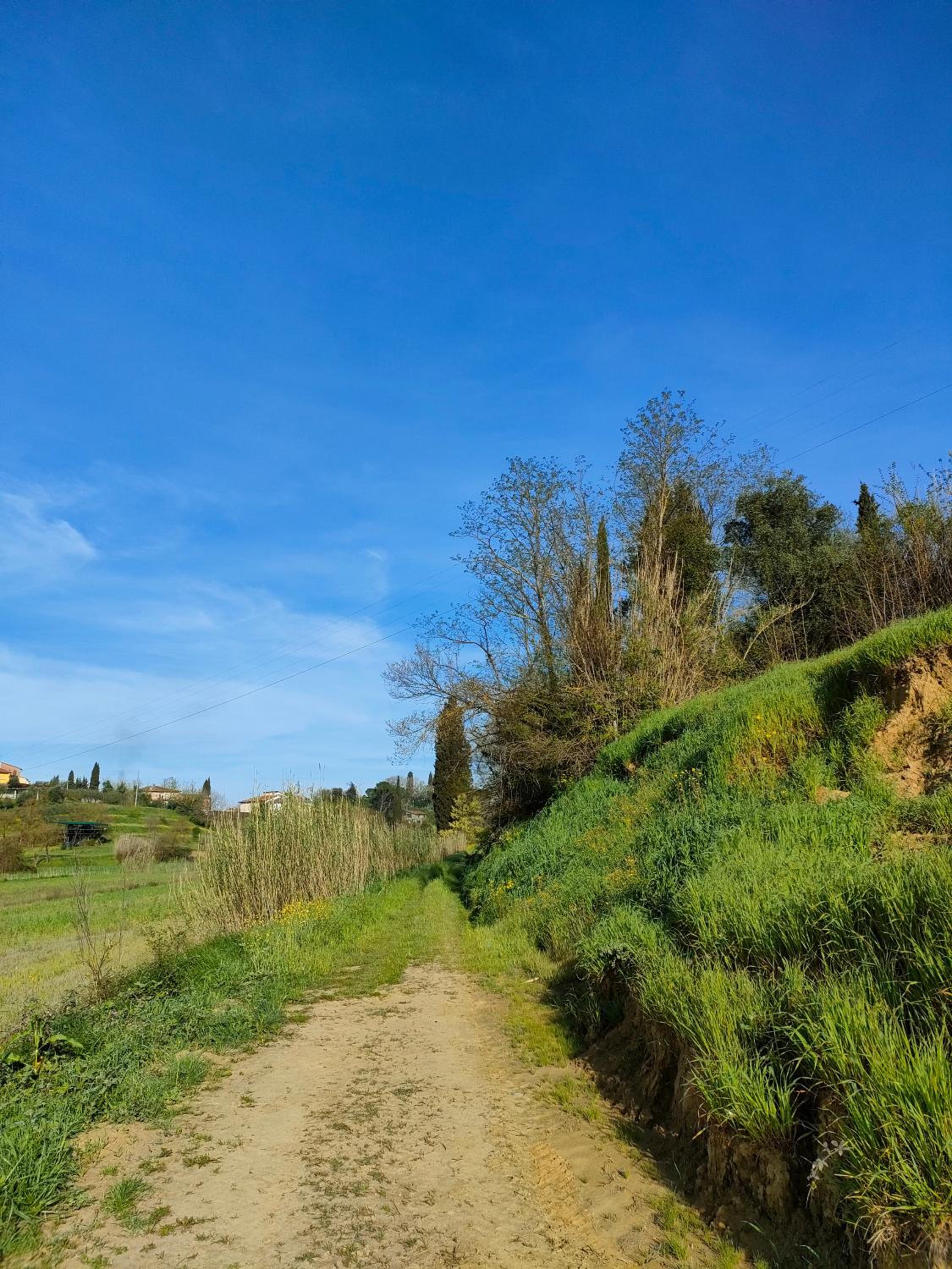 Podere Gian Battaglia
