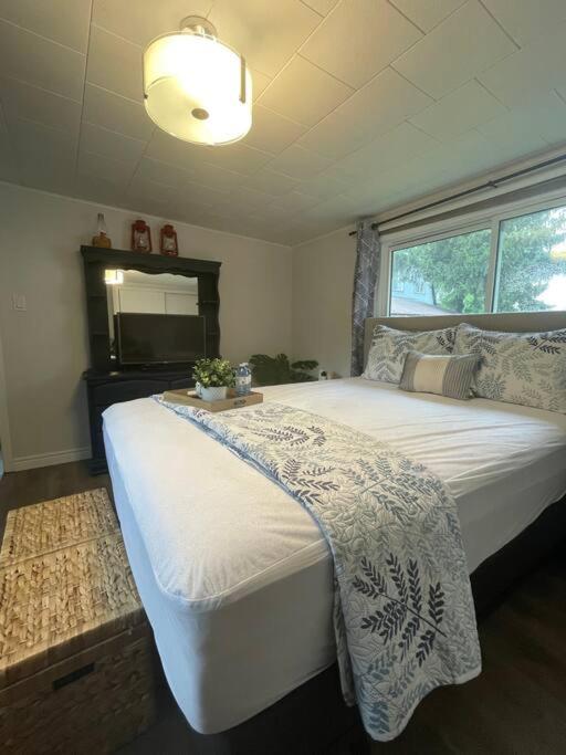 The cozy cove - Cottage in long point