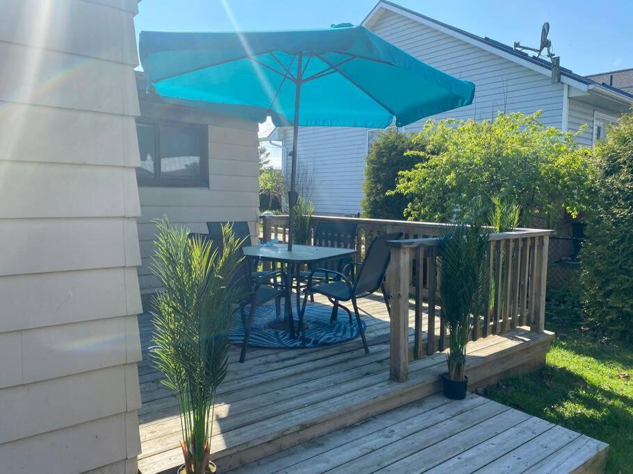The cozy cove - Cottage in long point