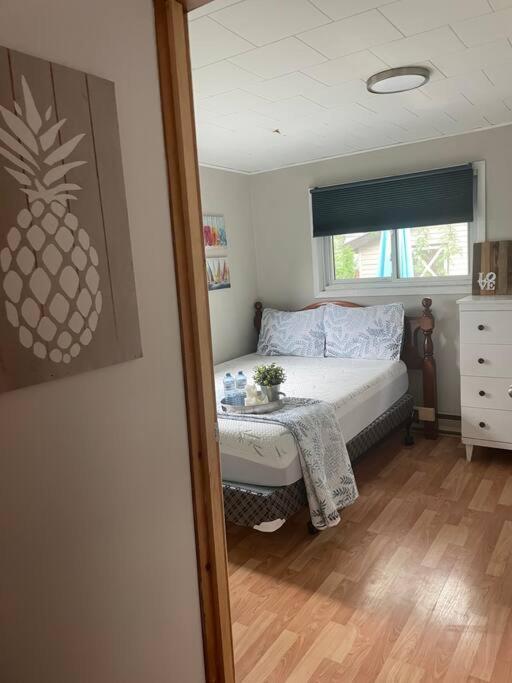 The cozy cove - Cottage in long point