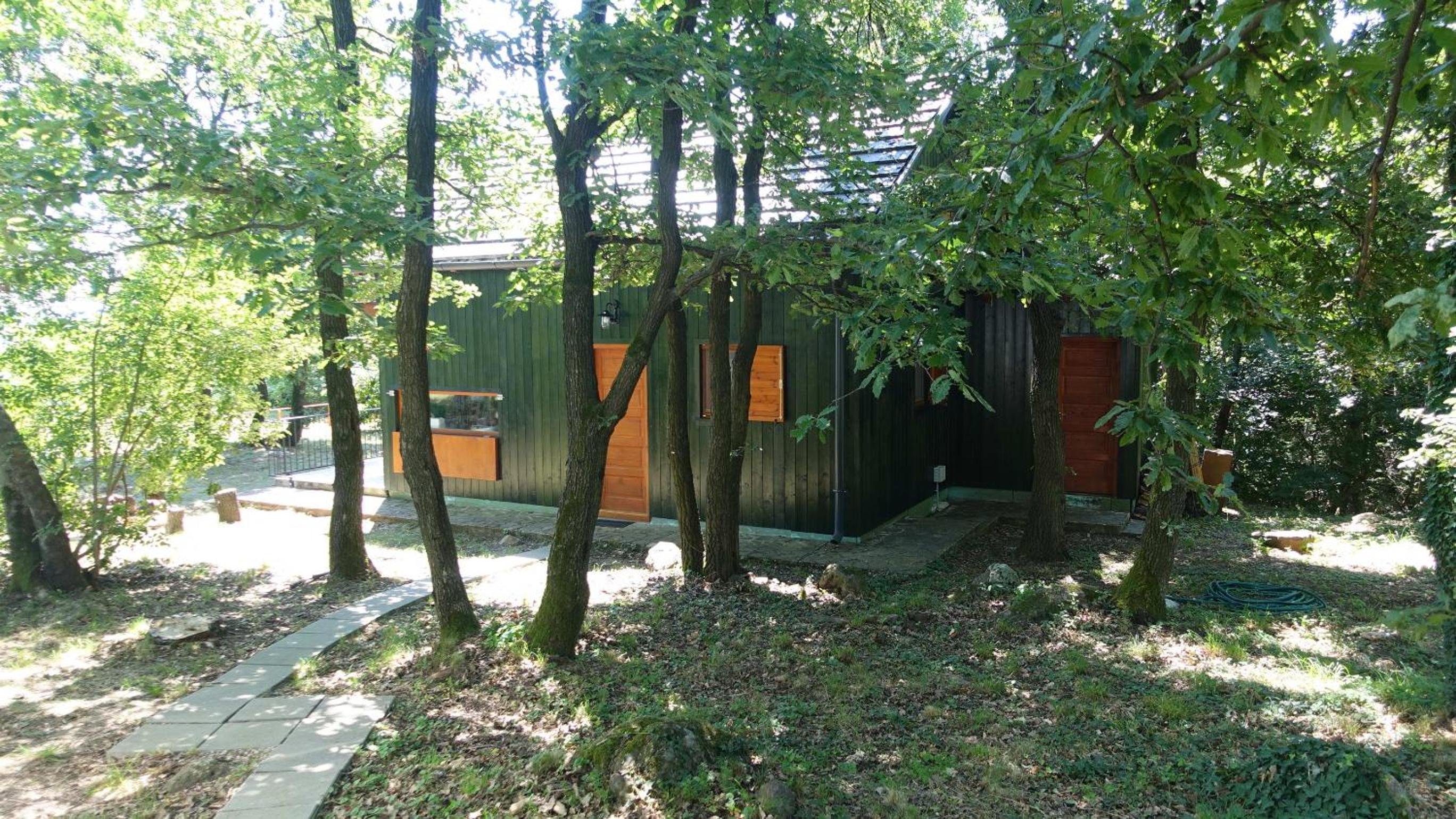 Photo 20