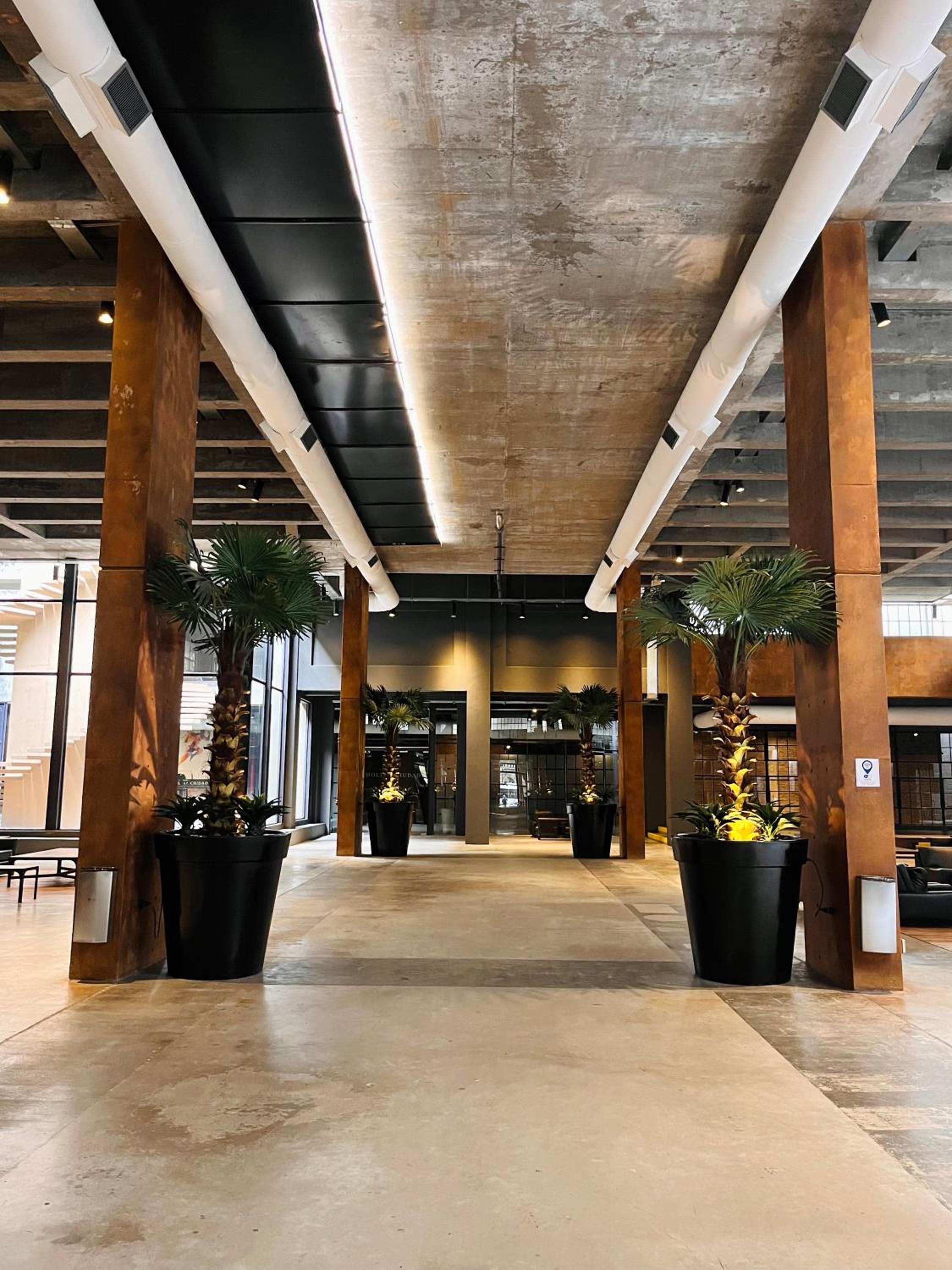 recepcion & lobby