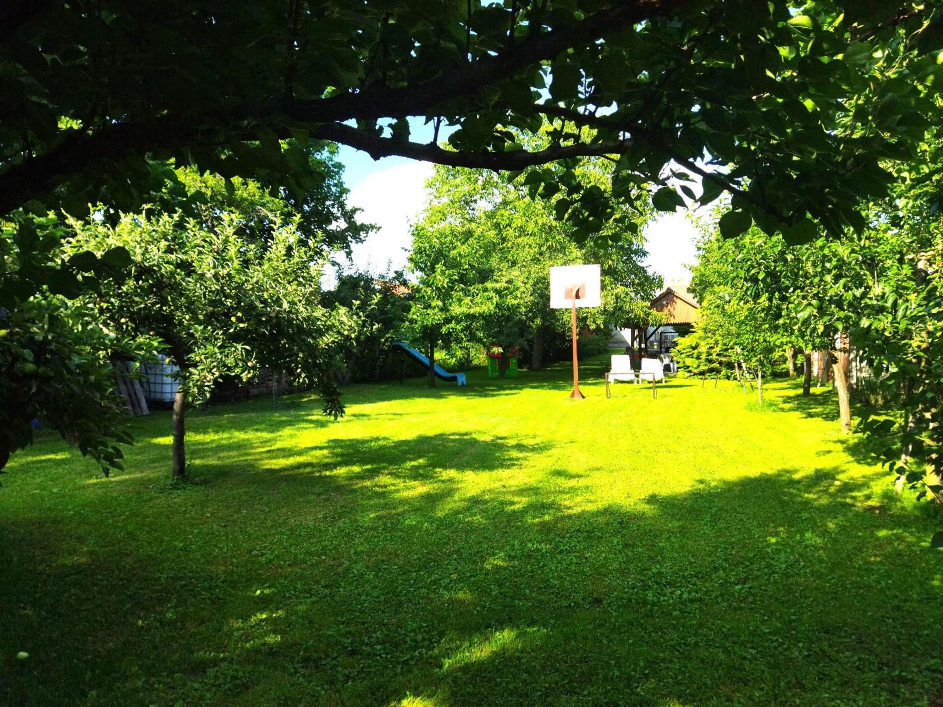 Photo 53