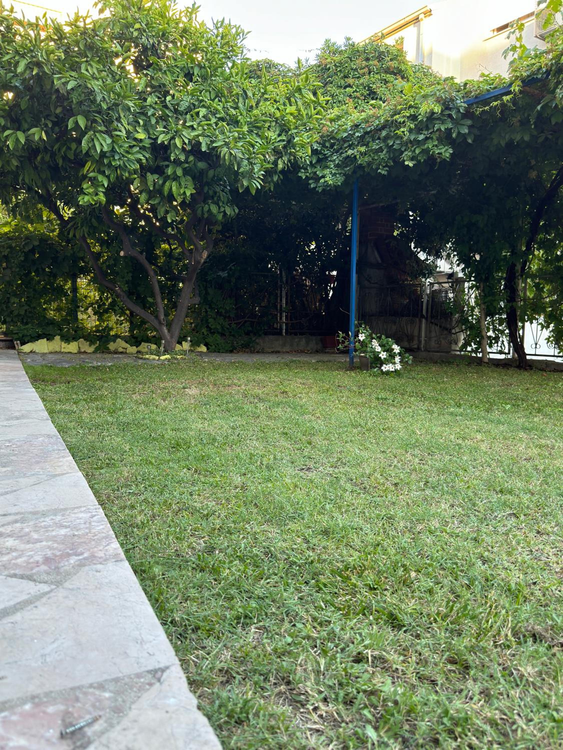 Valentinas Garden