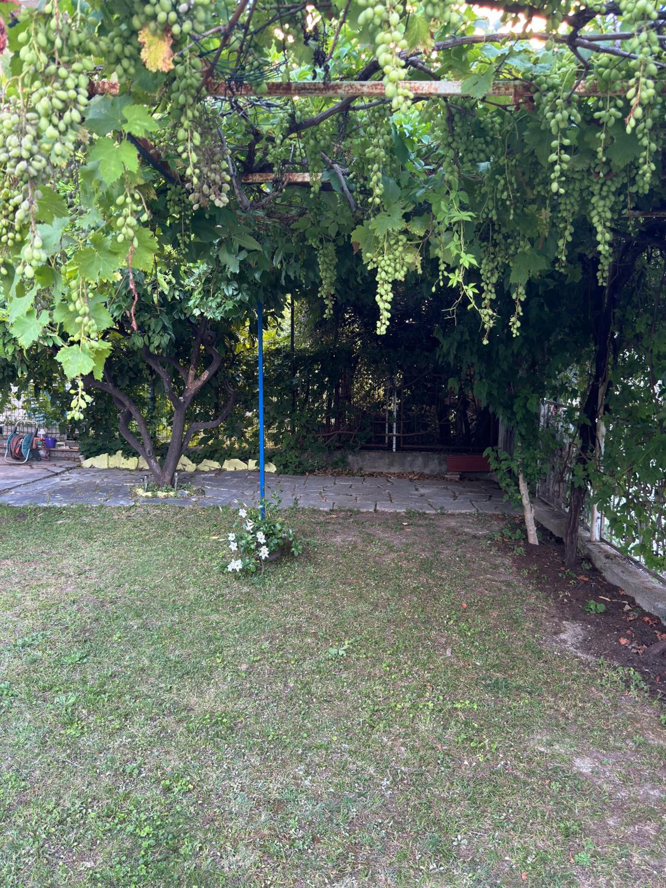 Valentinas Garden