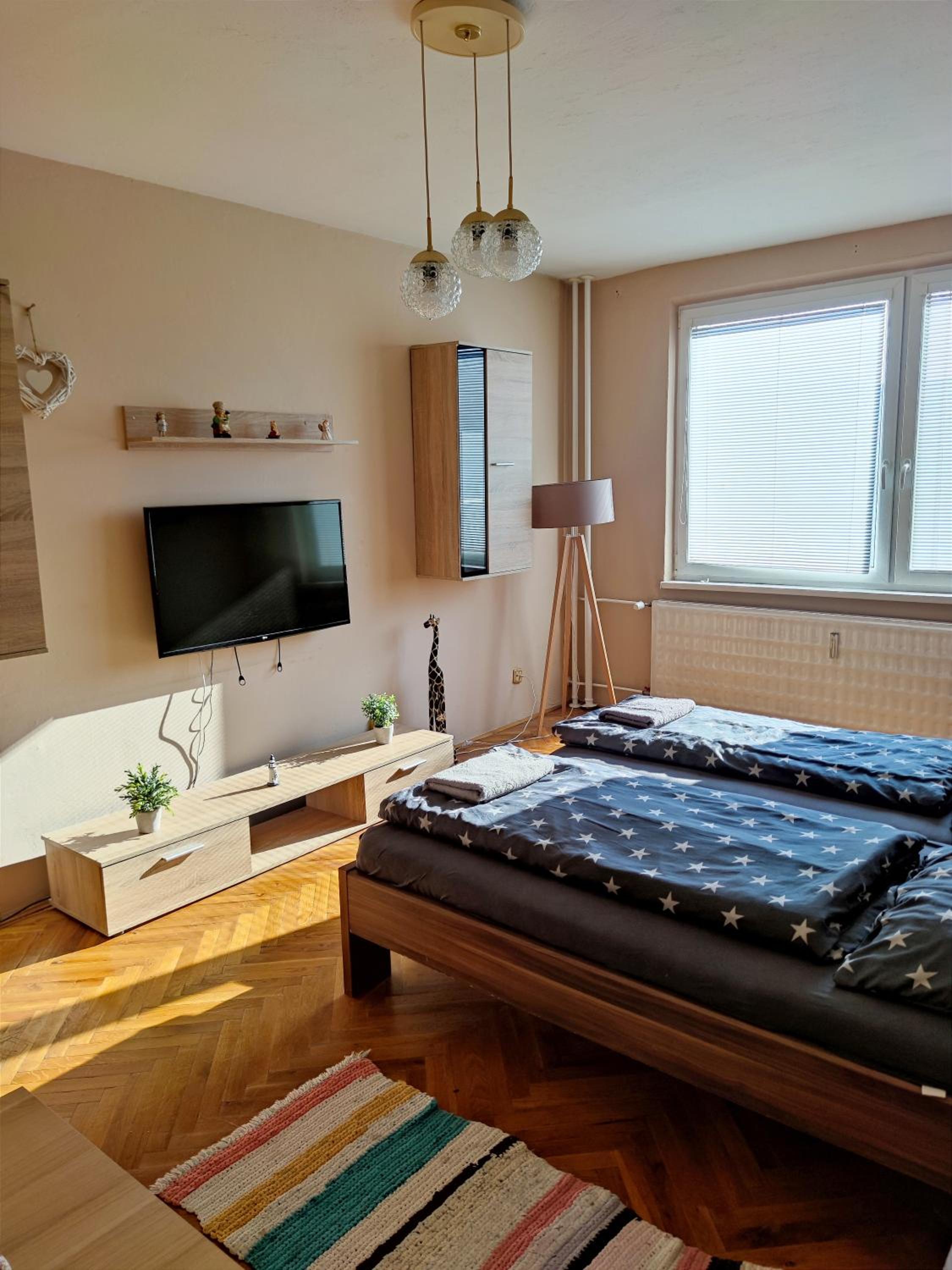 Fast Apartment in the centrum view 2