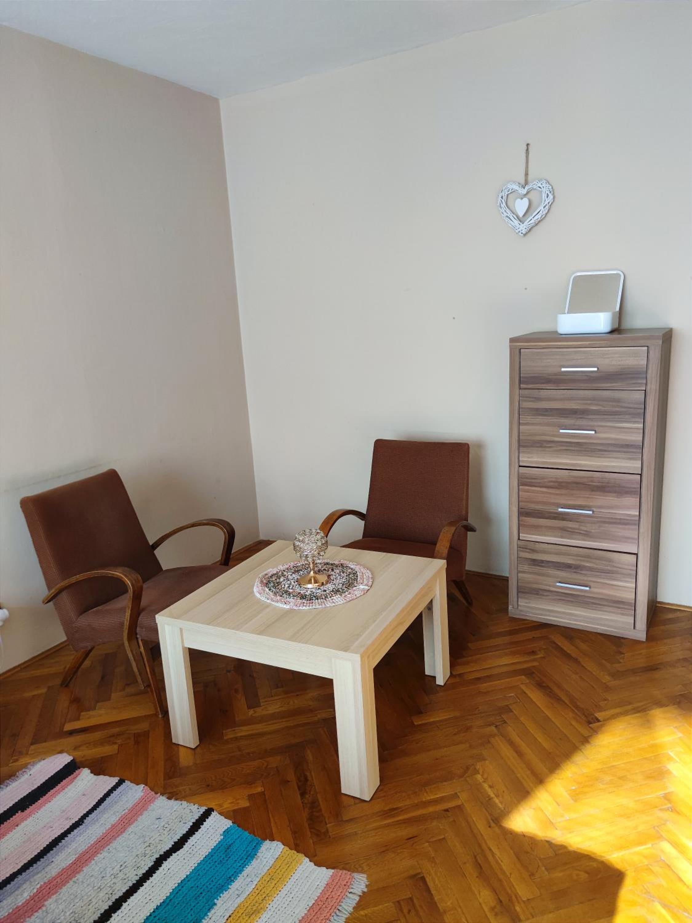 Fast Apartment in the centrum view 3