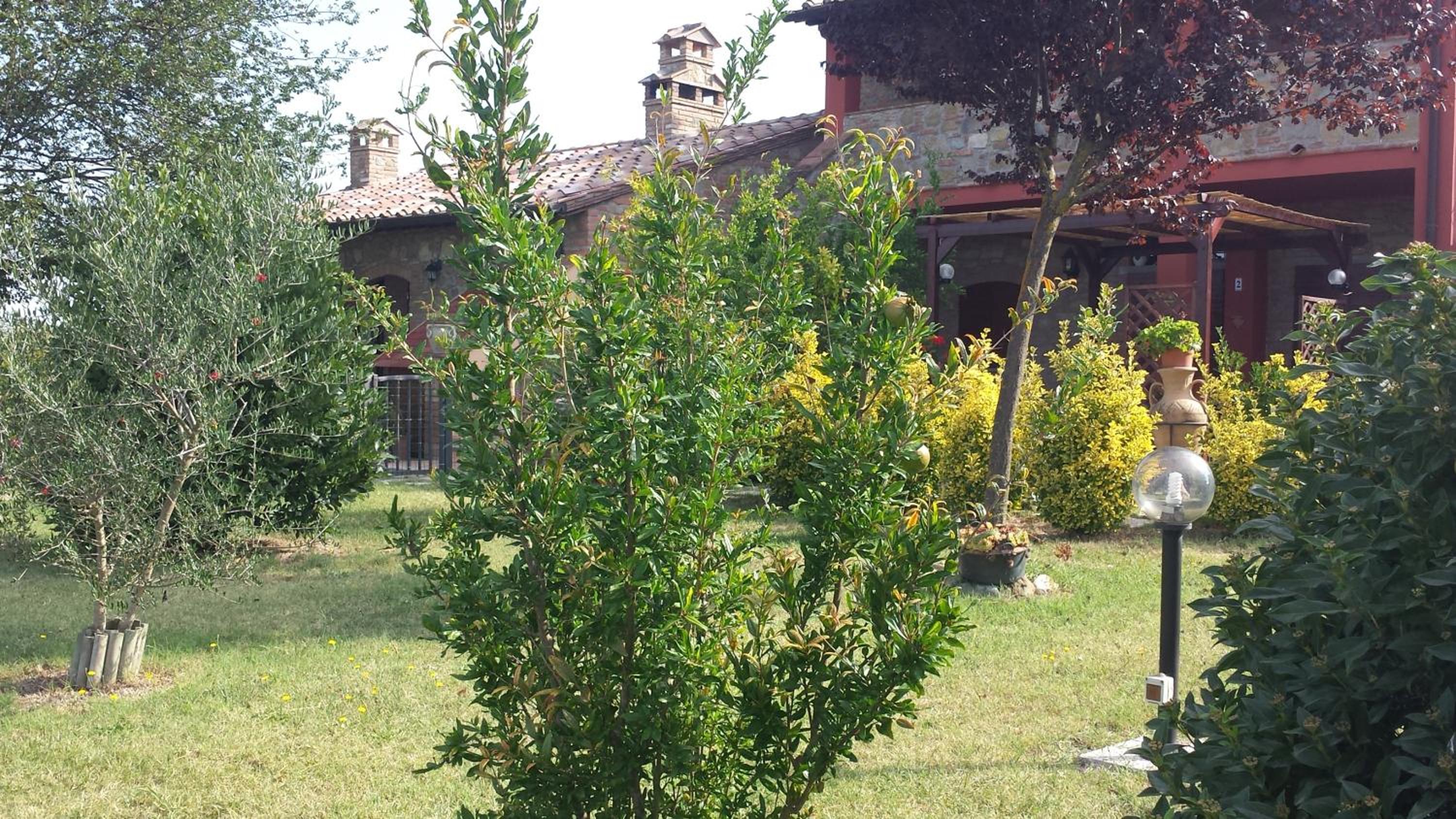 Photo 12