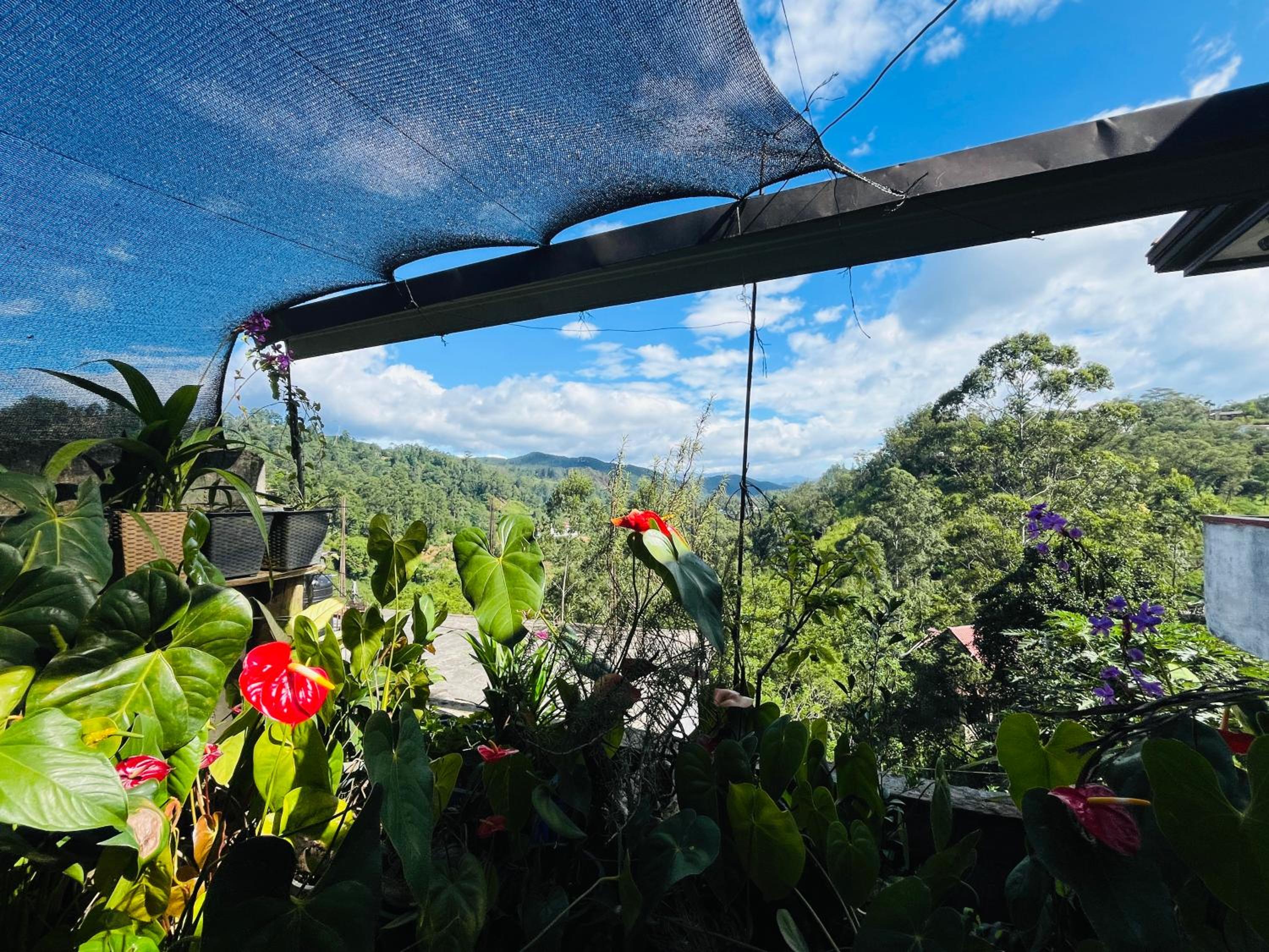 O2 Bandarawela