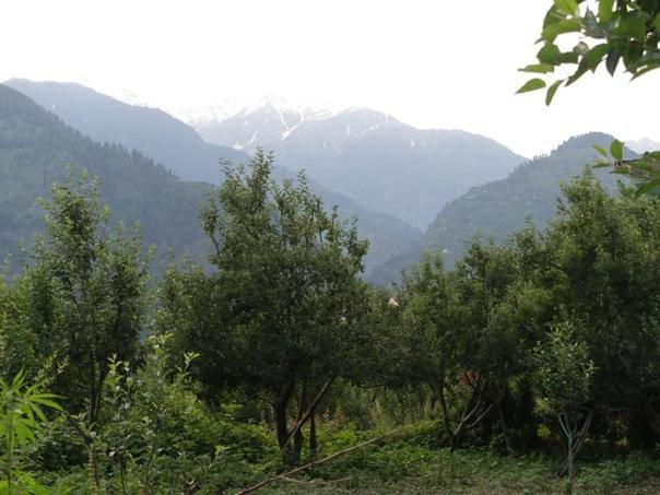 Photo 20