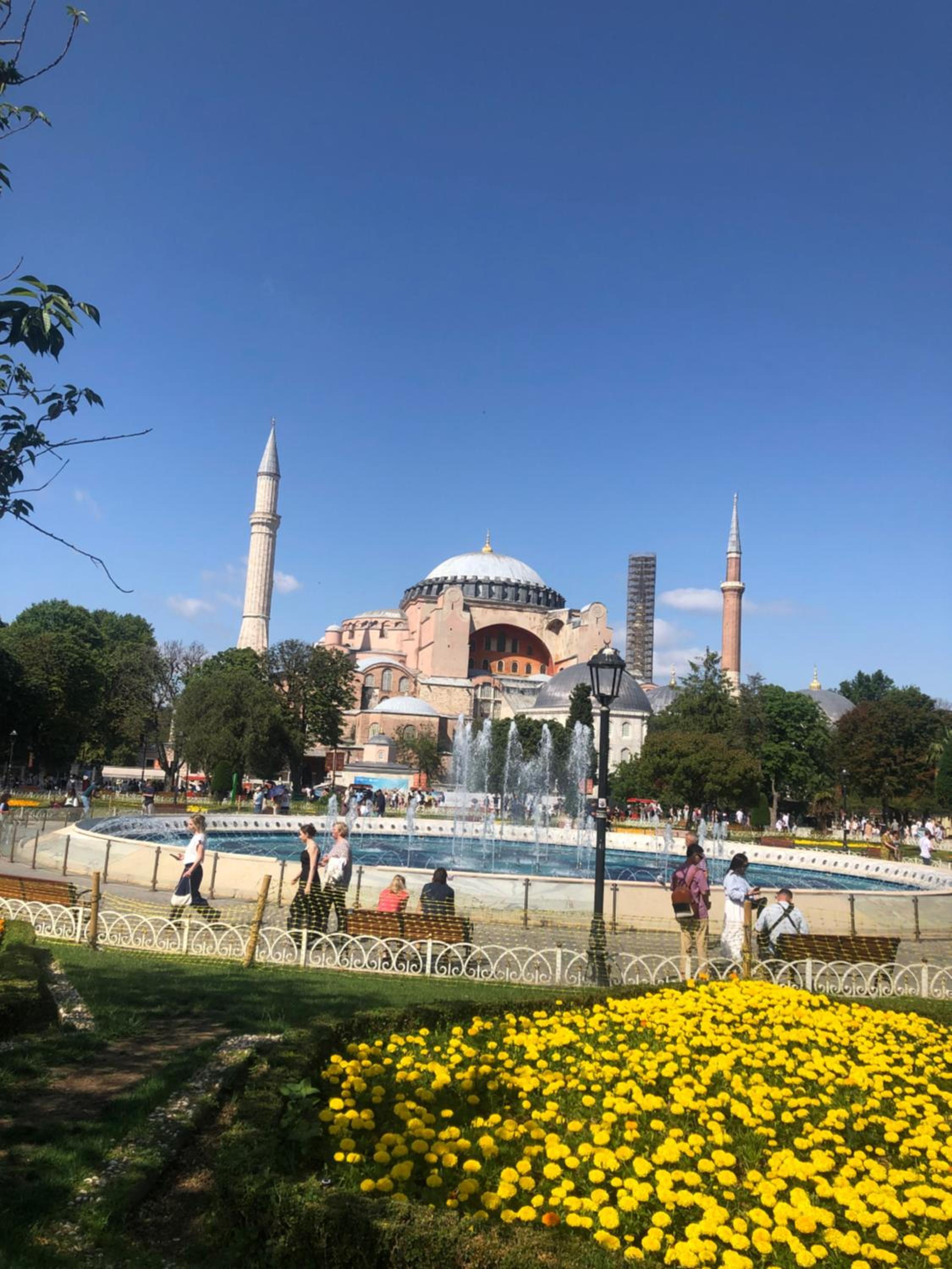 BACHOS view ayasofya hotel