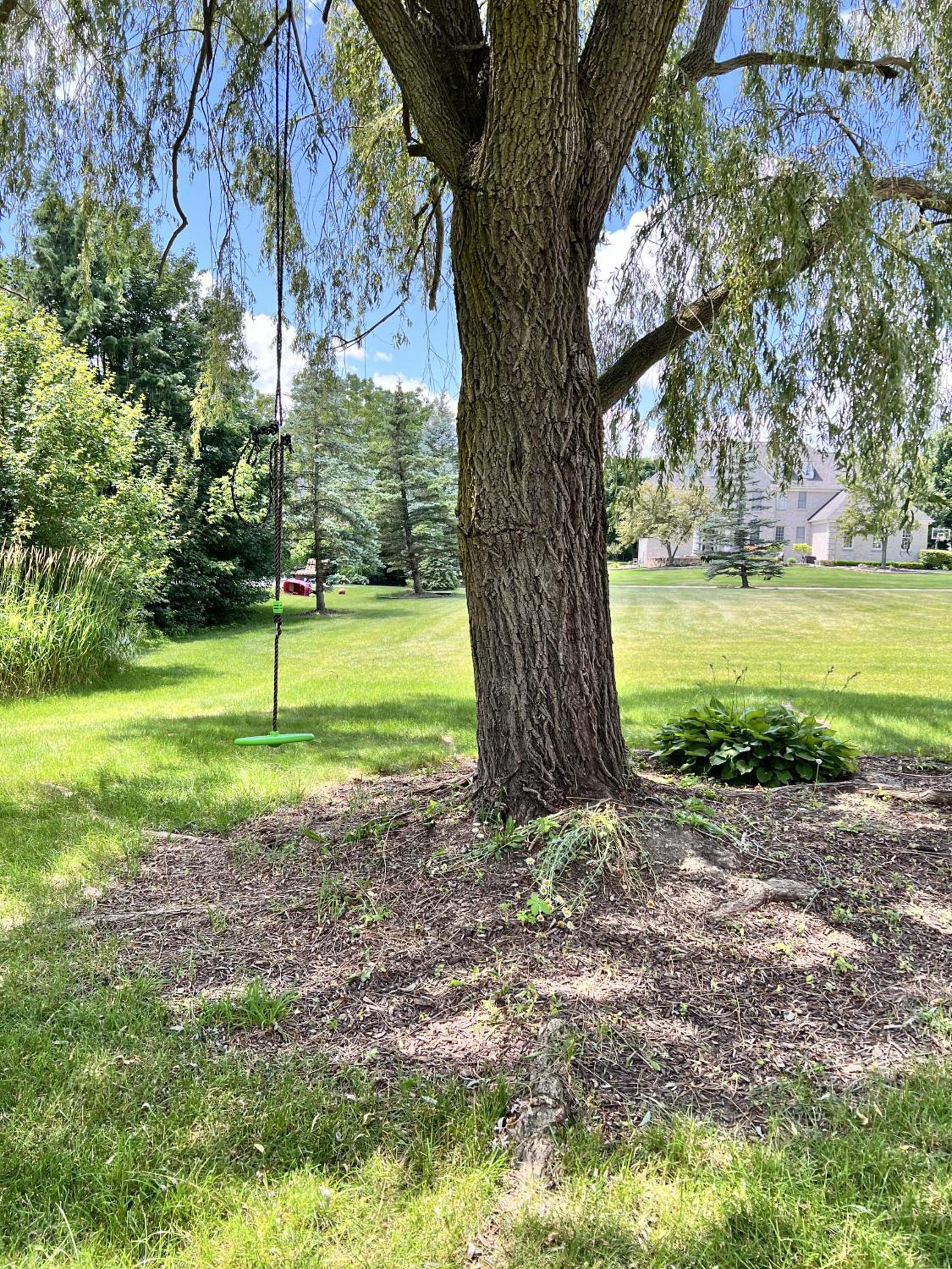 other
