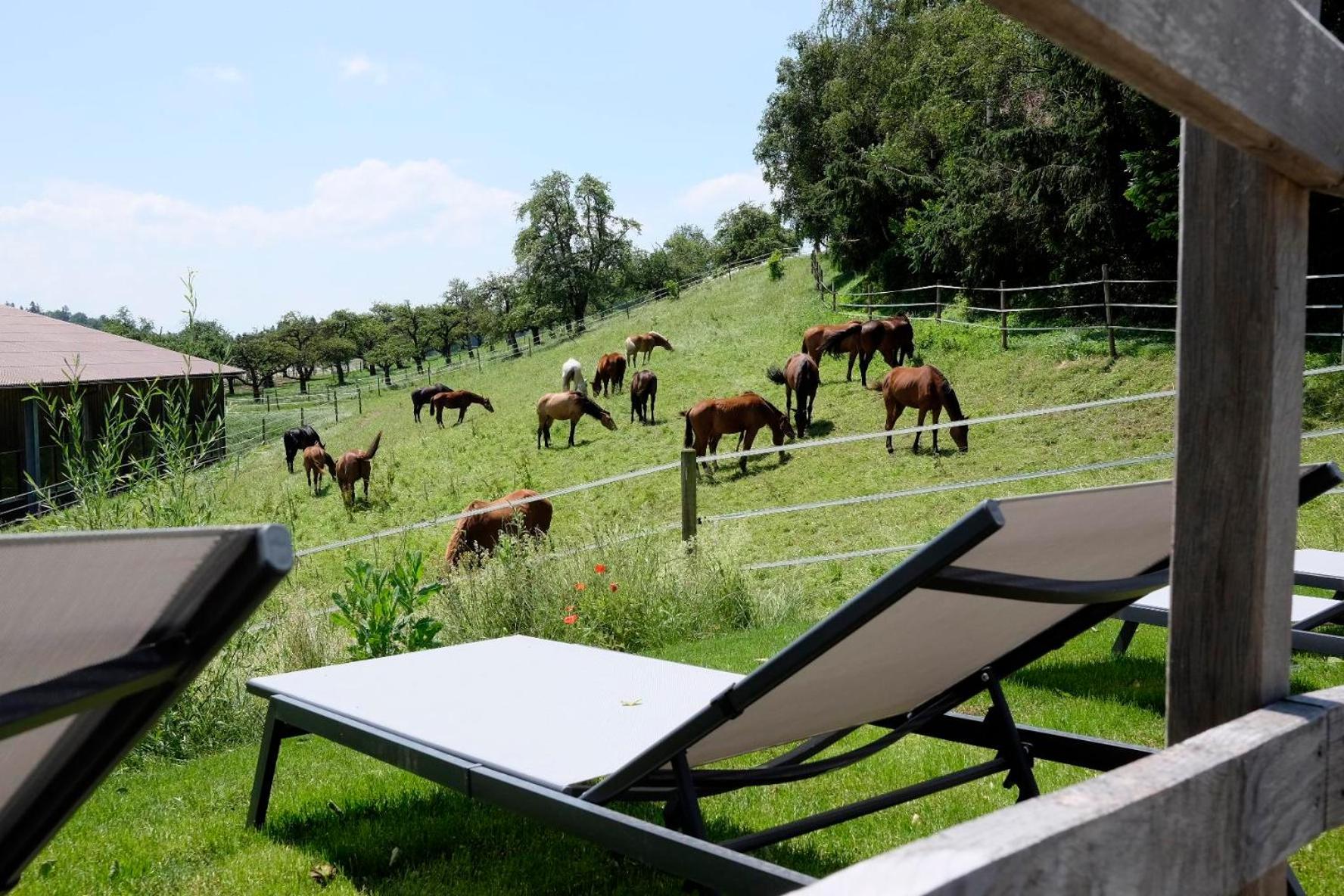 Trautesheim Ferienwohnungen