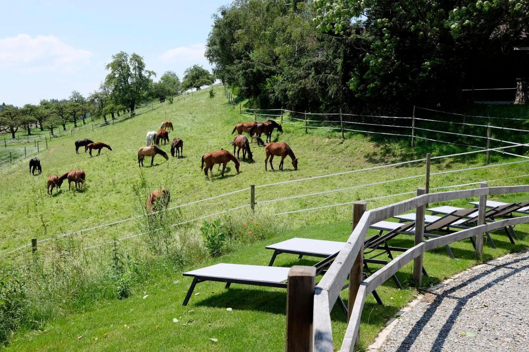 Trautesheim Ferienwohnungen