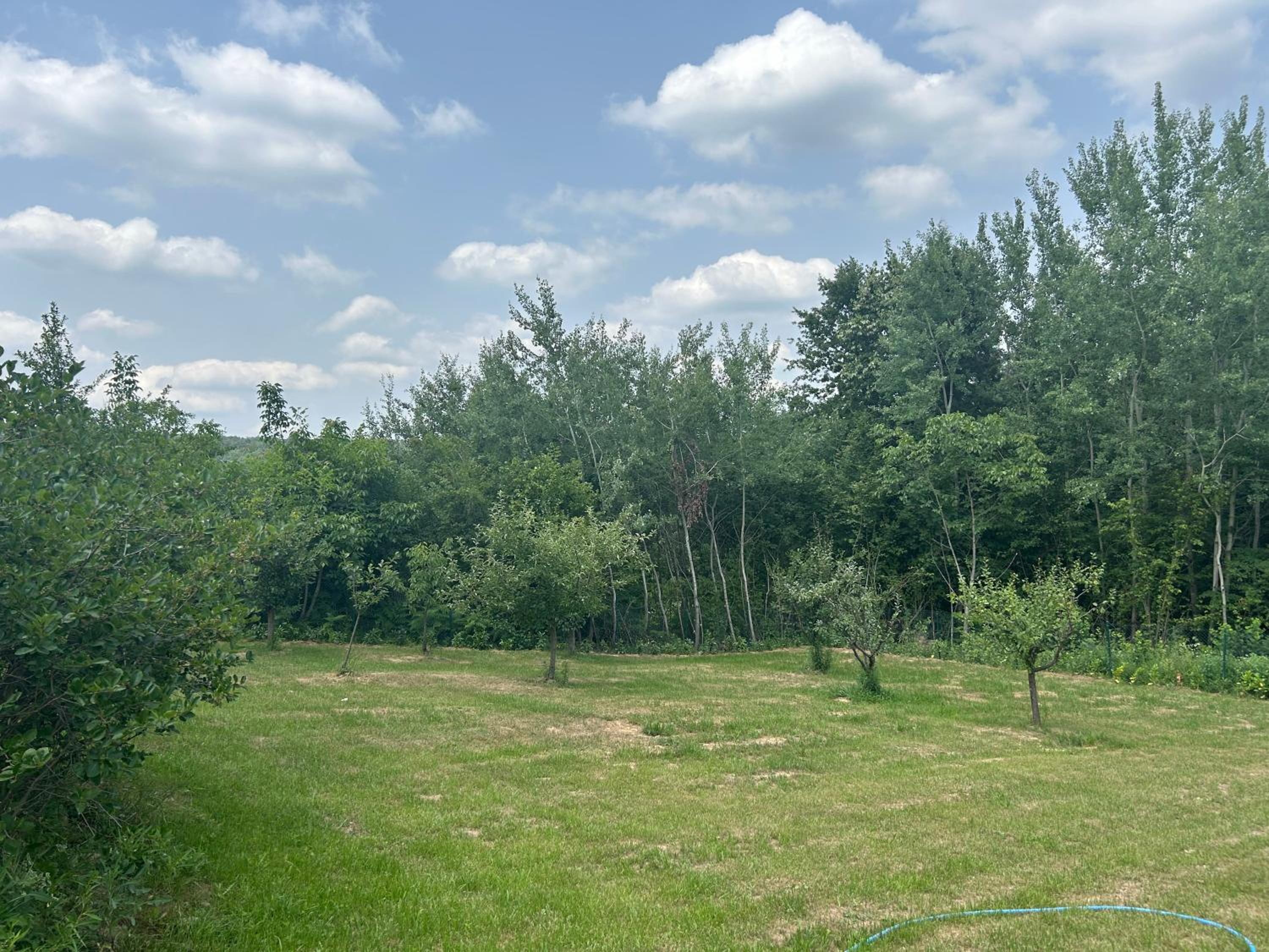 Photo 36