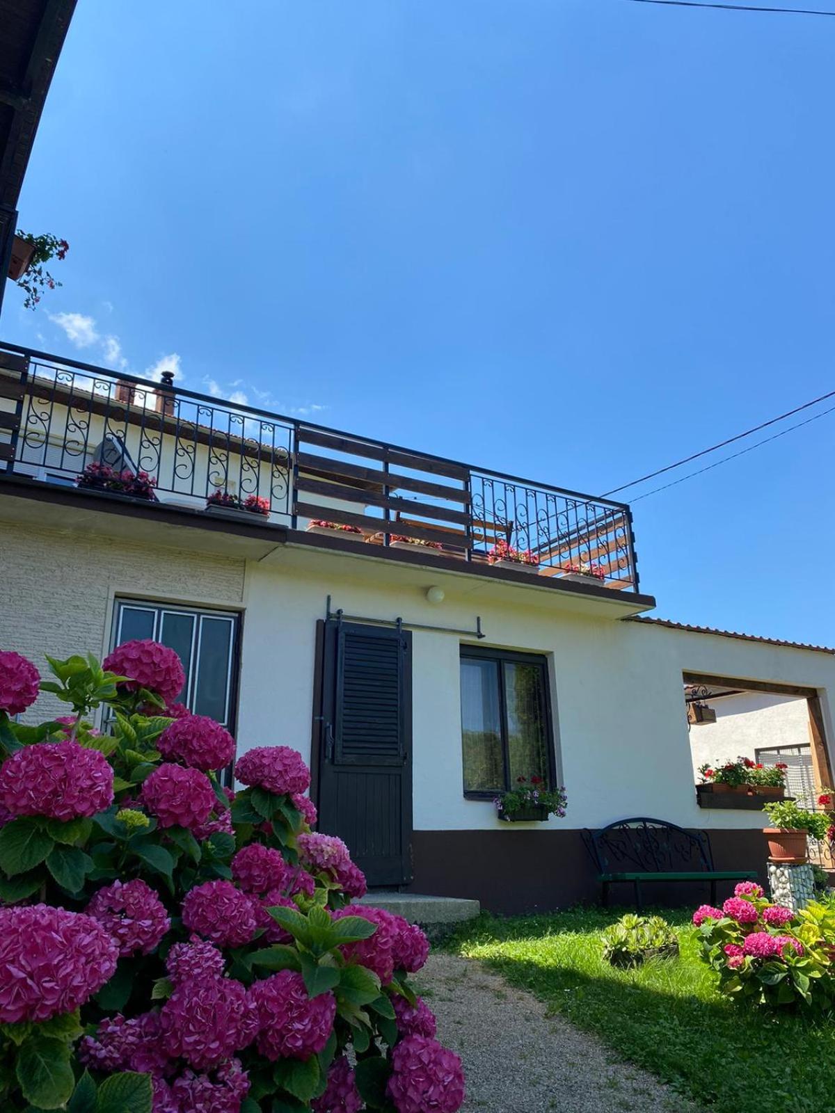 Panorama Pokoj Apartments