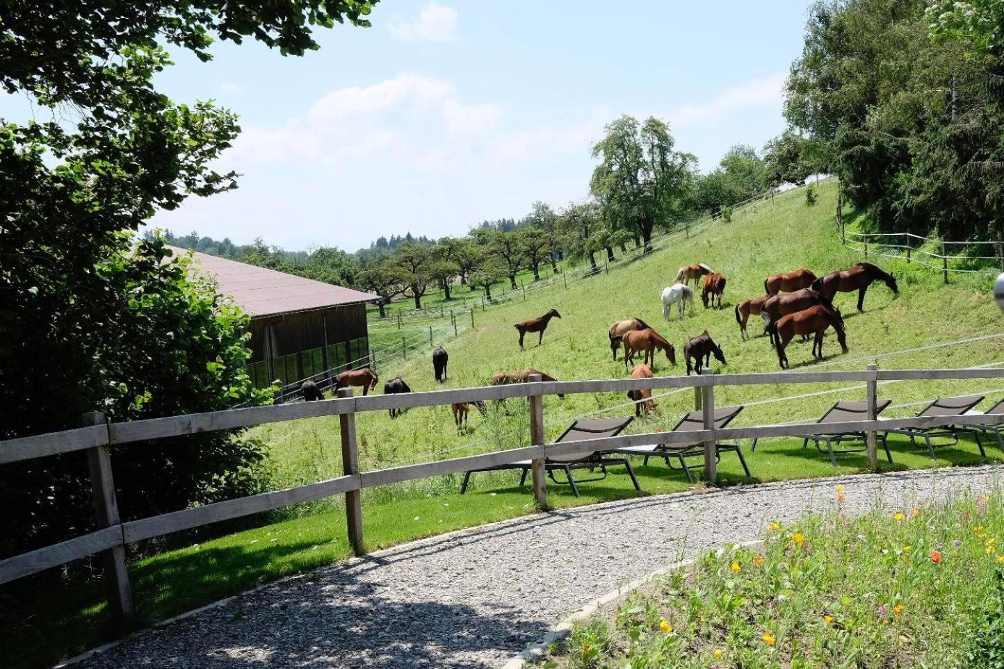 Trautesheim Ferienwohnungen