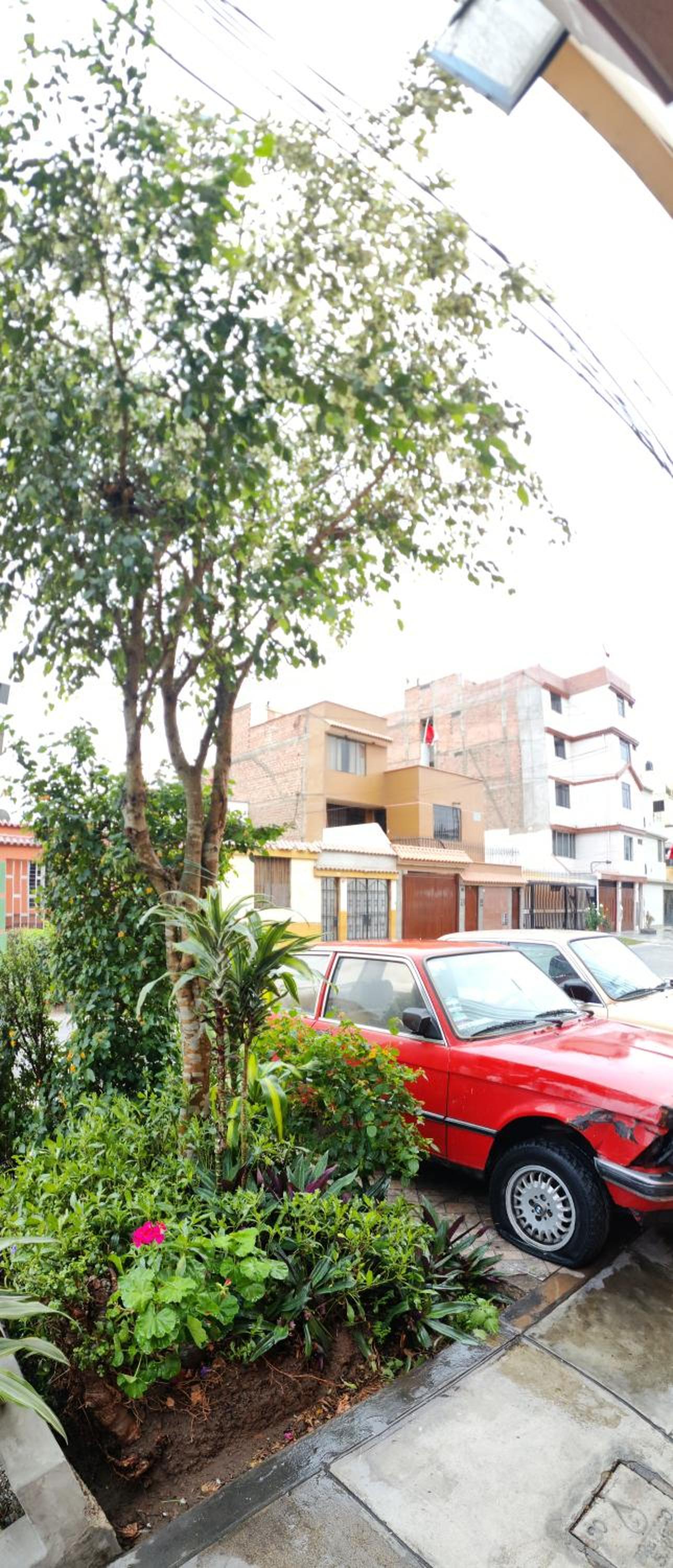 Homestaying Estela view 2