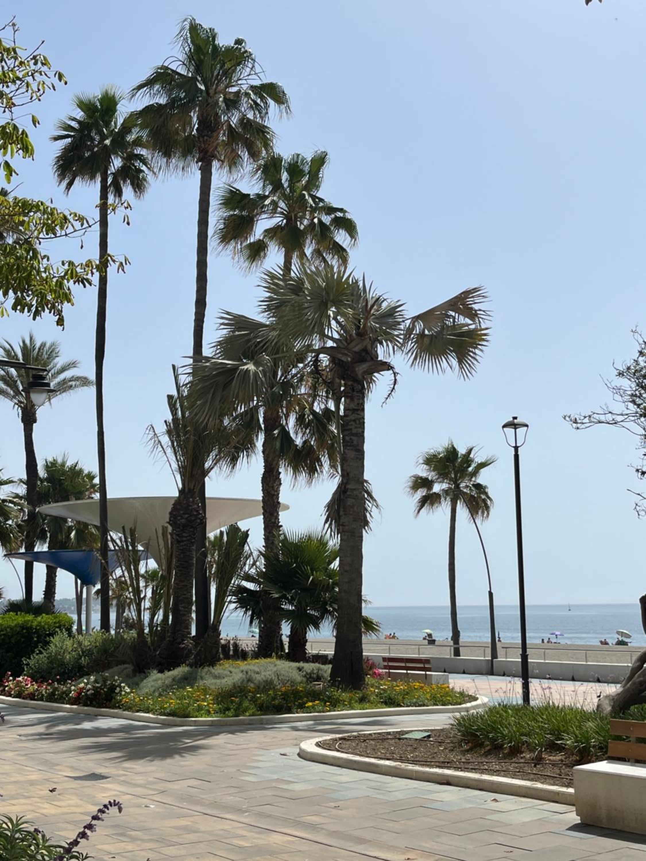 Piso a 100 metros de la playa, Casa Francisca view 3