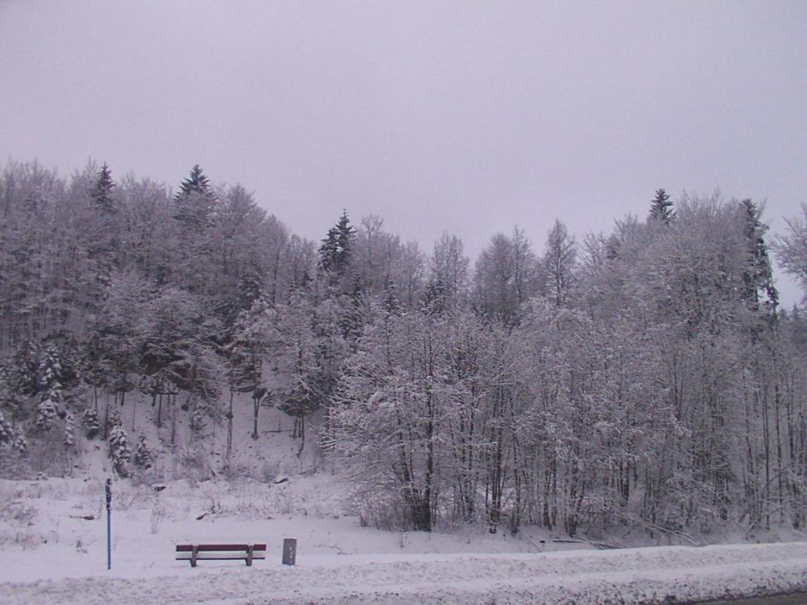 Gosciniec Wenecja view 4