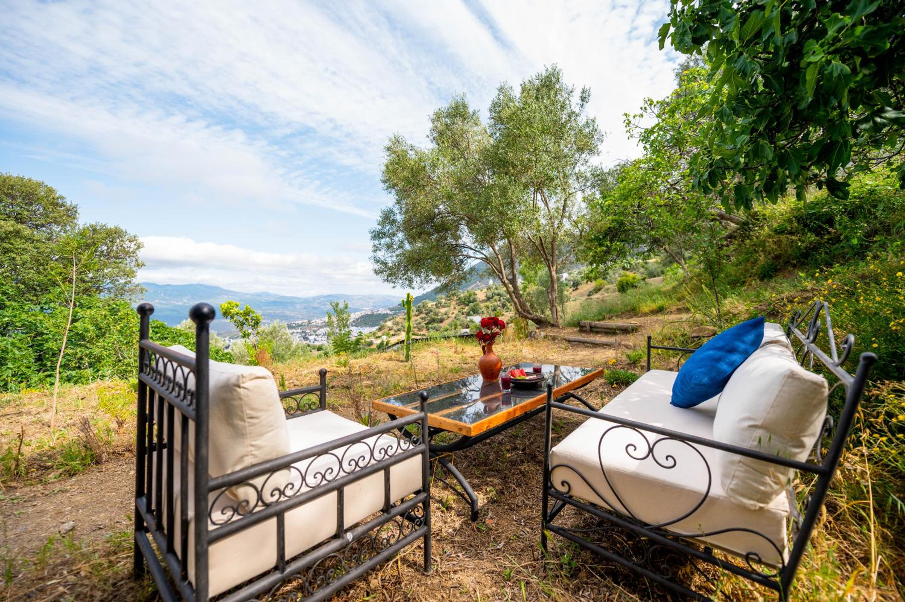 Dar Zeytoun Farmstay