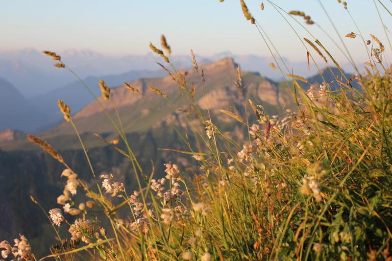 Ferienwohnungen am Dorfbach