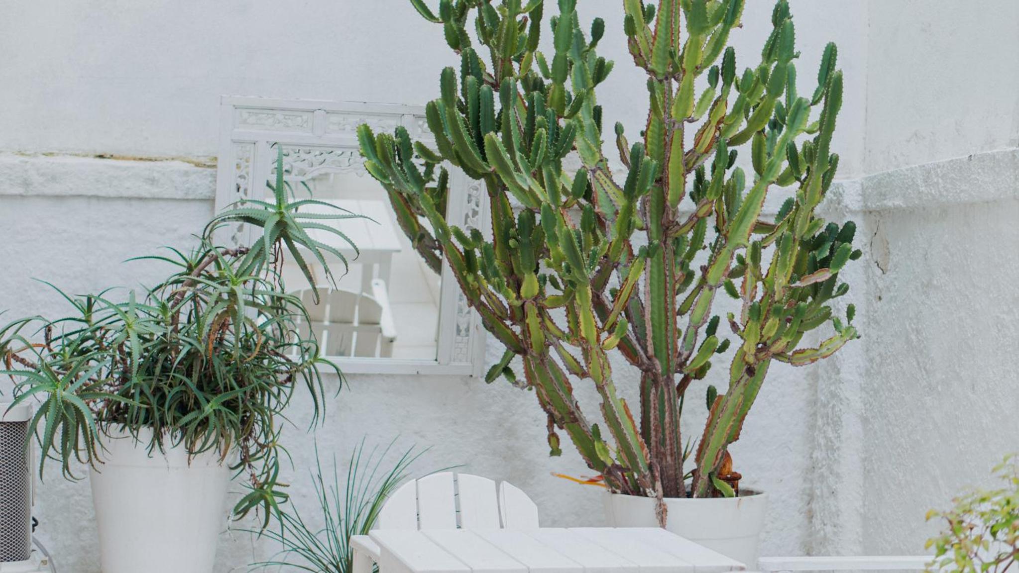 Na Praia, com Terraço e Jardim- Leblon 2 suítes