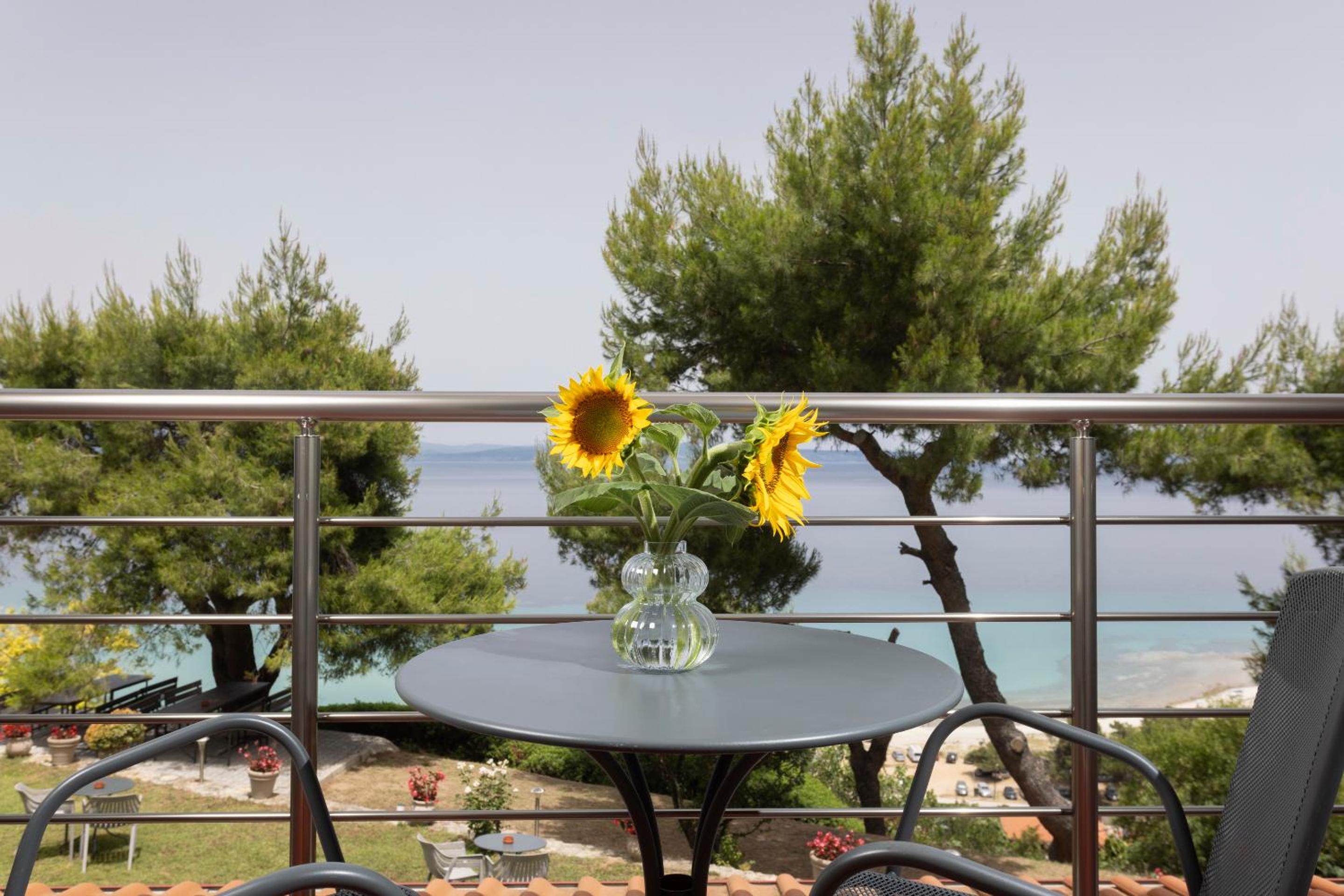 Sea View Apollo Apartments & Studios in Afytos