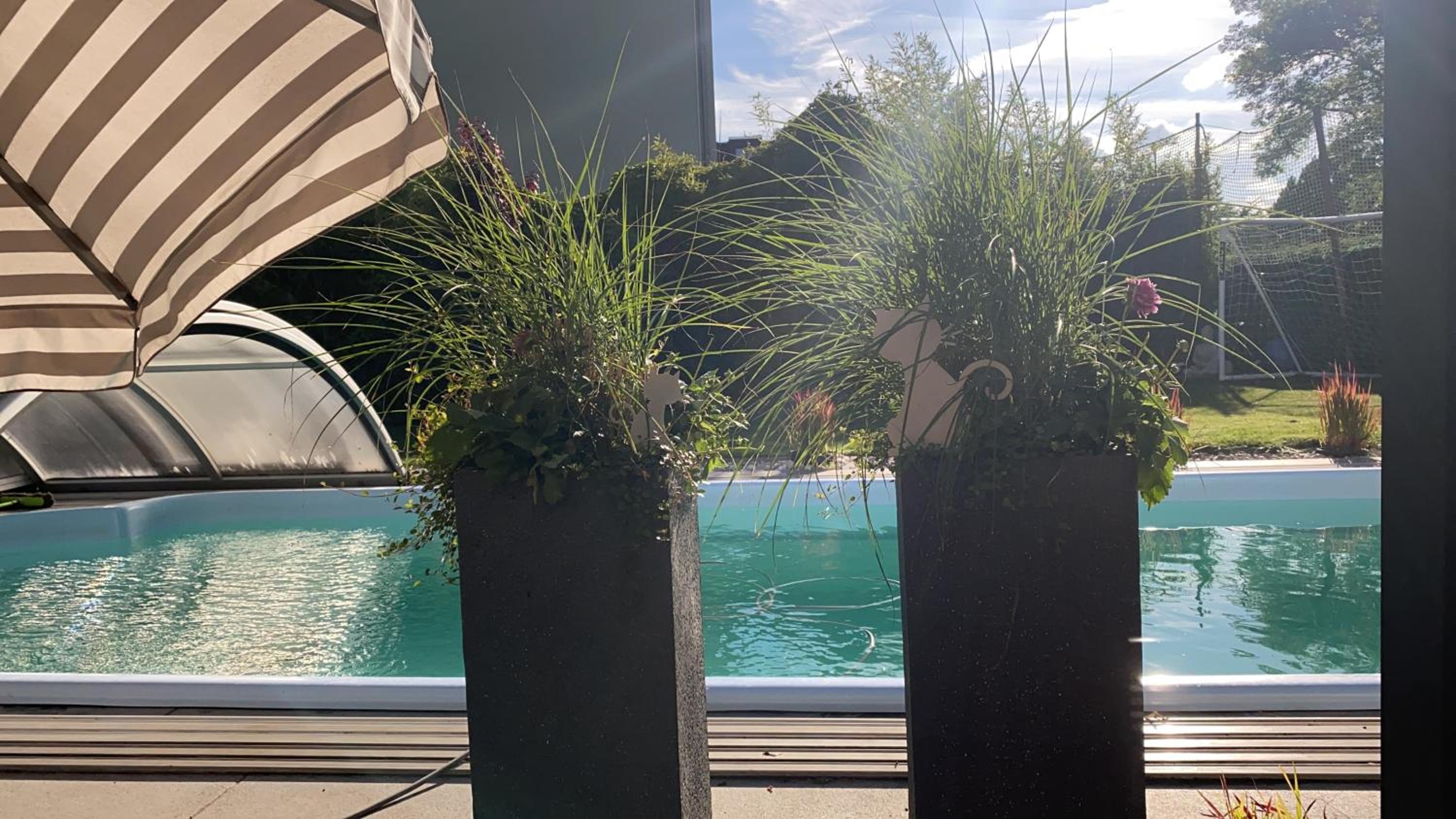 House Apartment am See