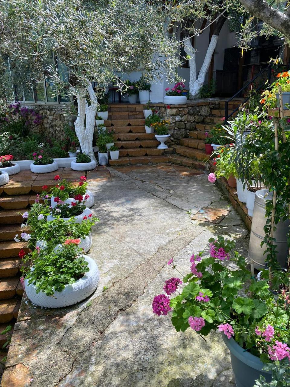Firauni Studios