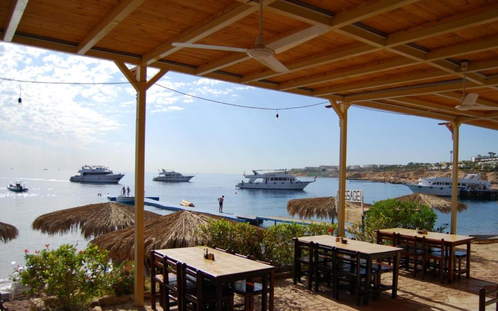 Umbi Sharks Bay Diving Village
