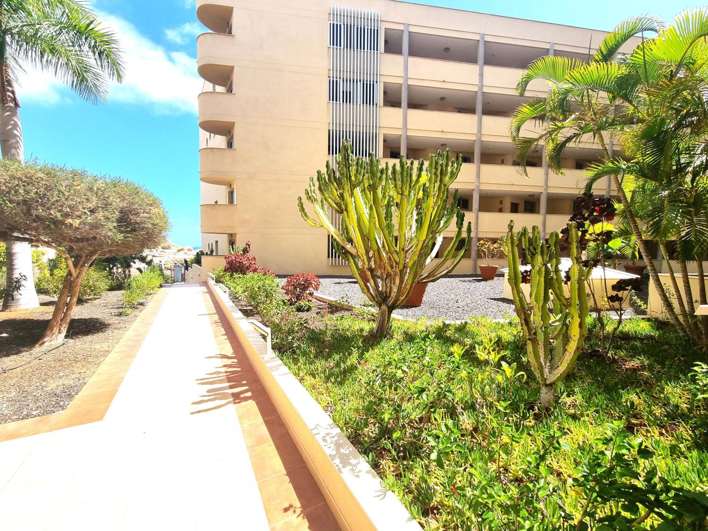 Saig sun paradise experience