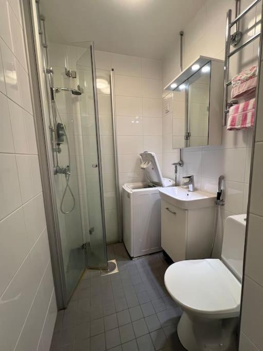 Top floor apartment in Helsinki