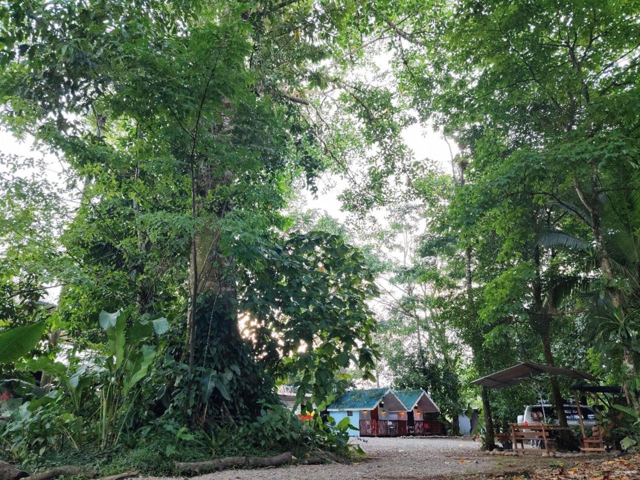 Sarapiqui Stay