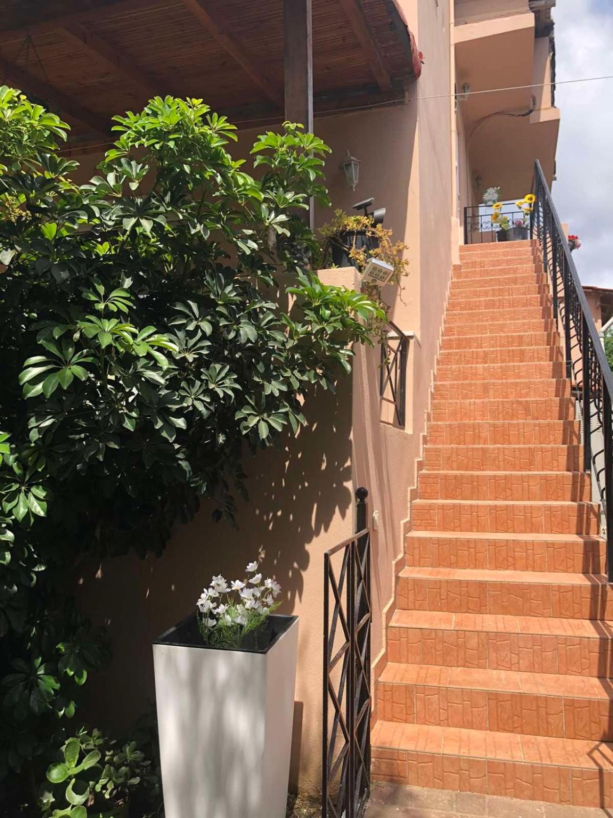 Daisy rooms Skiathos
