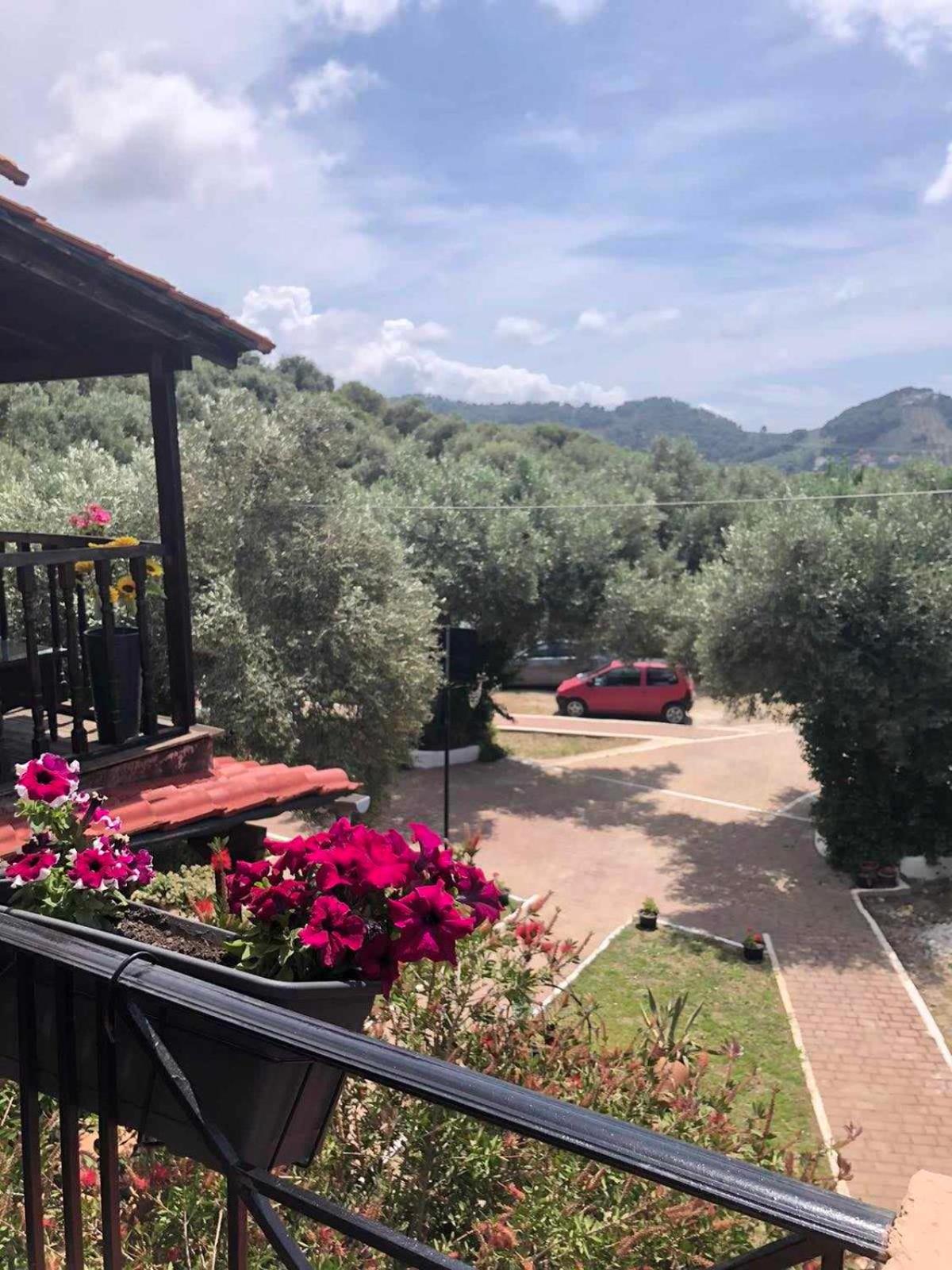 Daisy rooms Skiathos