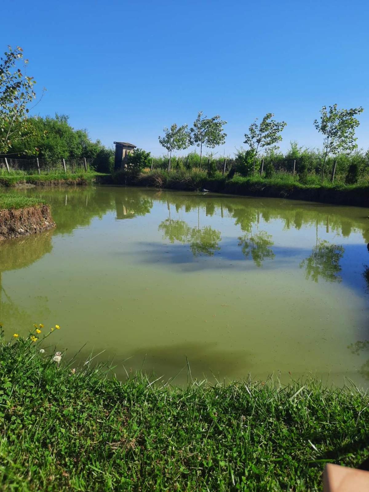 Izletište Camp Kruškik
