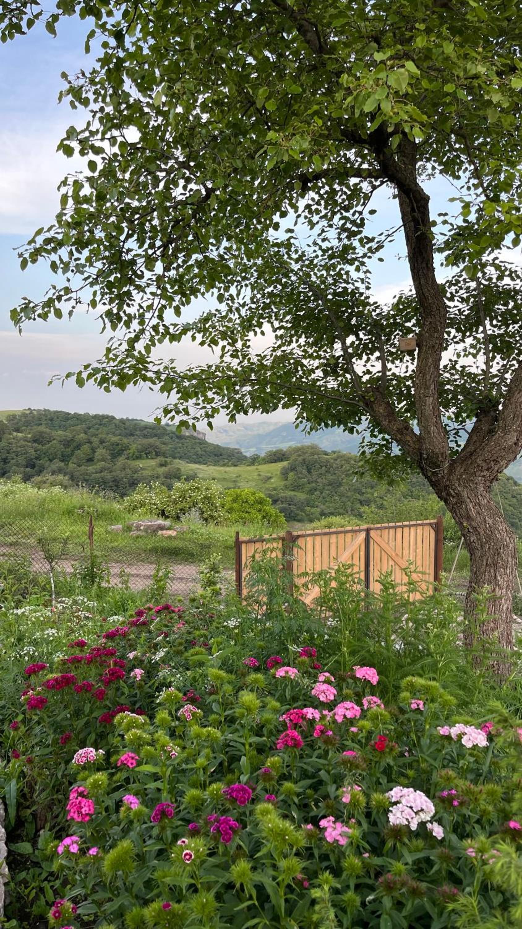 Shenlik Rest House
