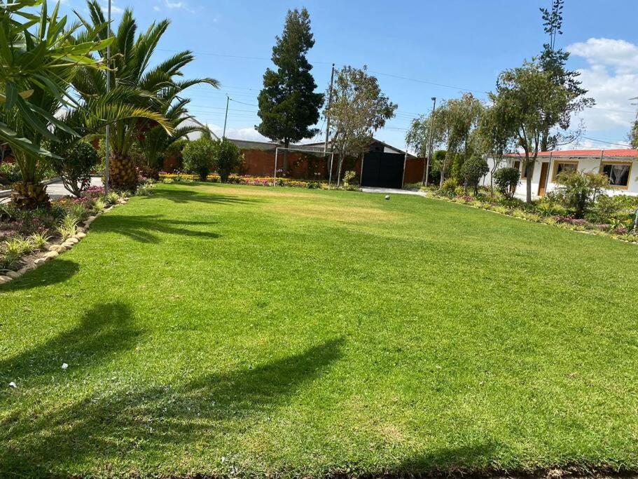 Piscina caliente, reuniones de amigos, familias y fiestas view 3