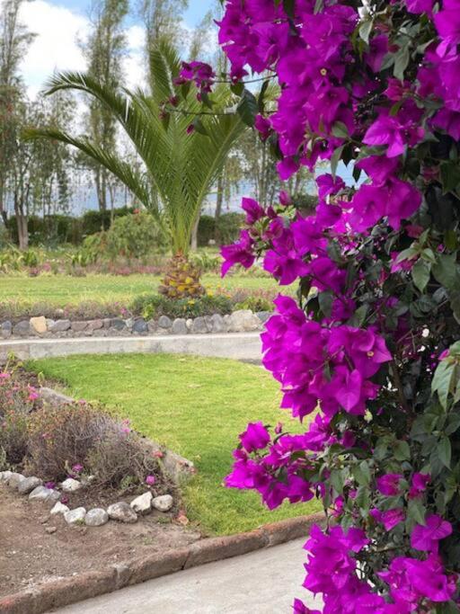Piscina caliente, reuniones de amigos, familias y fiestas view 5