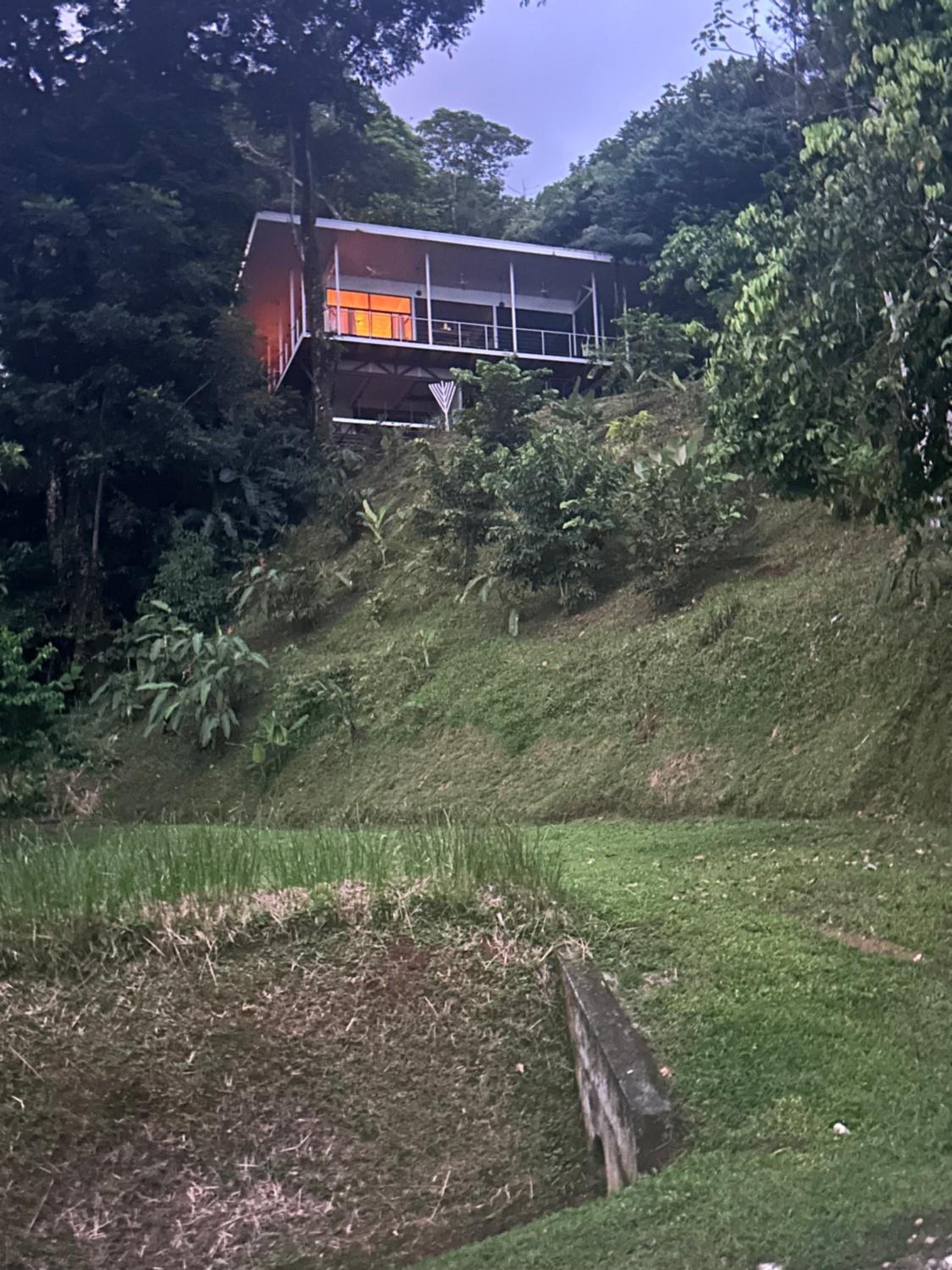 Jungle paradise