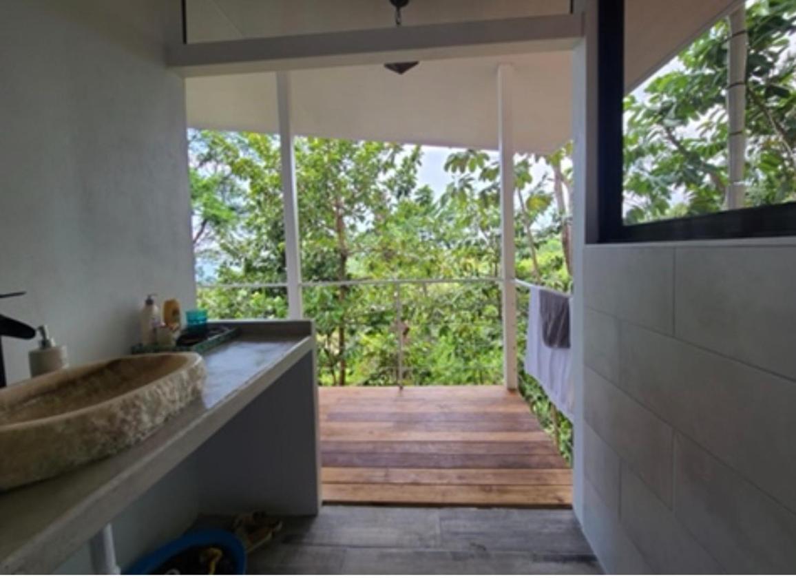 Jungle paradise