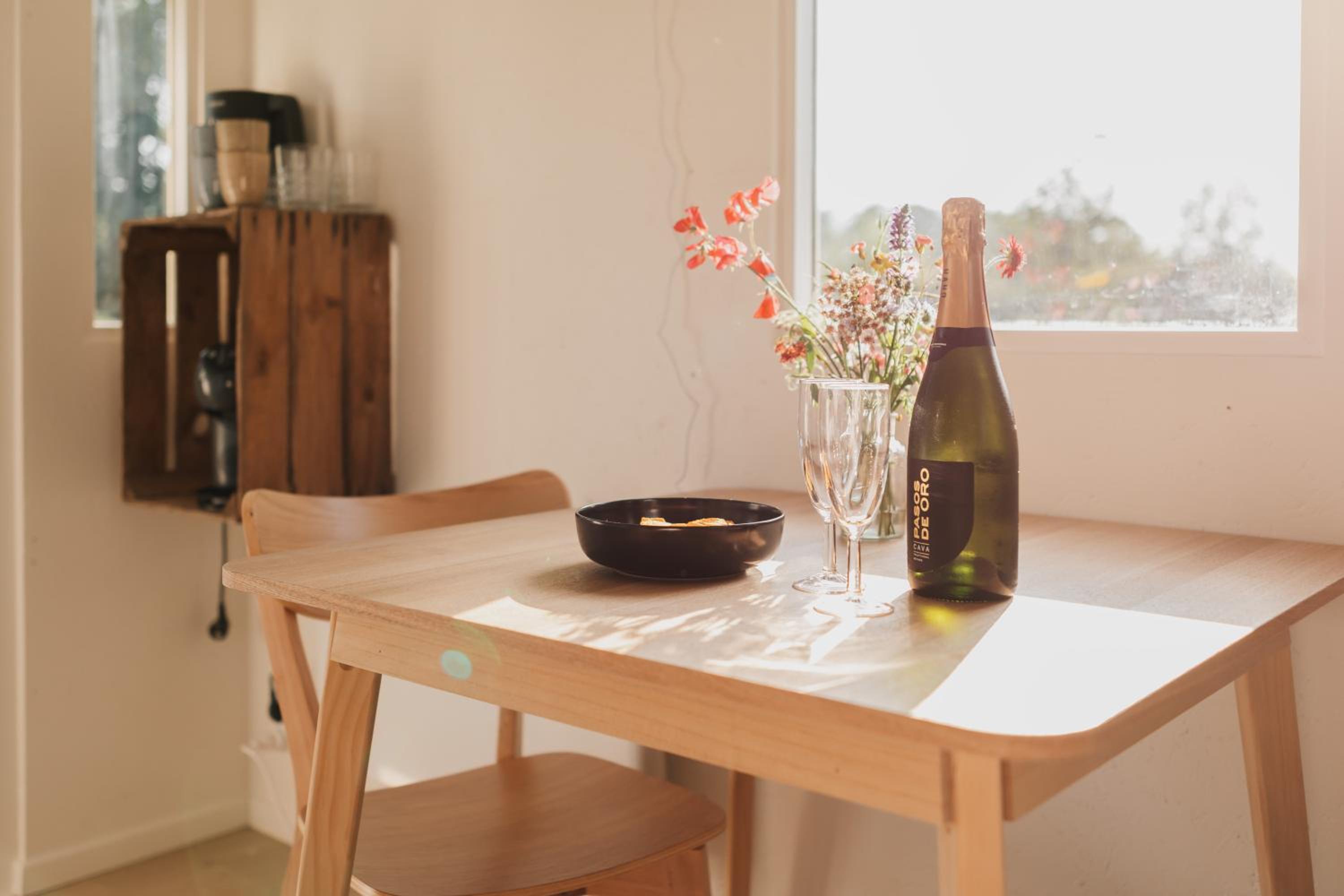Tiny House De Skure