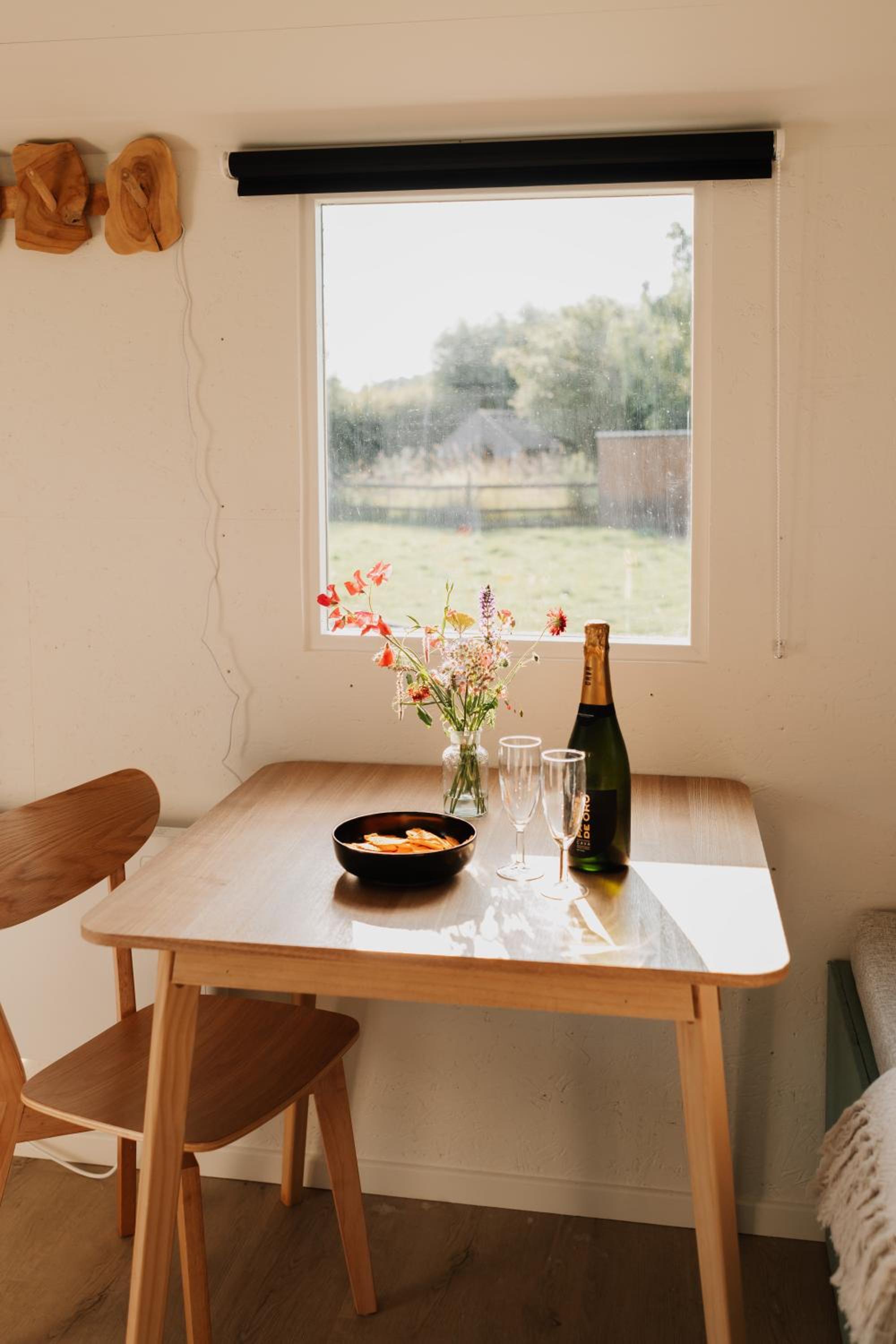 Tiny House De Skure