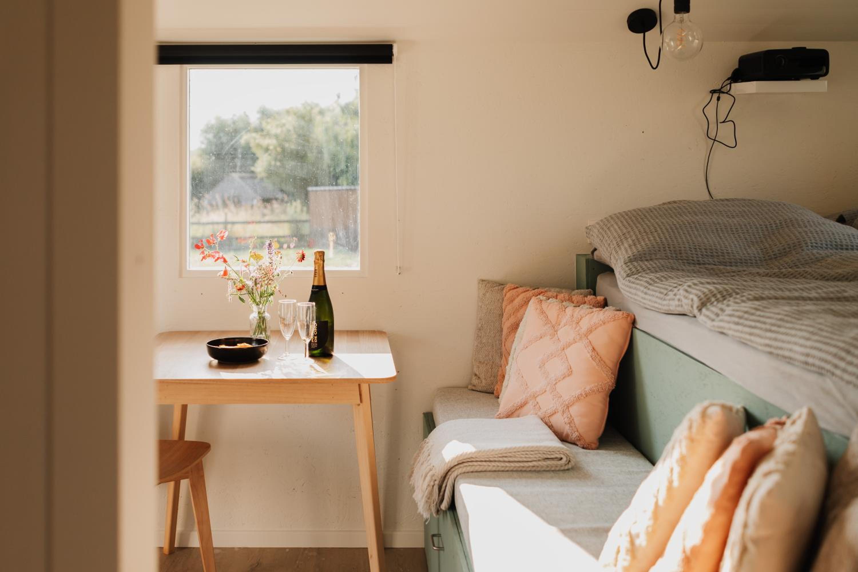 Tiny House De Skure