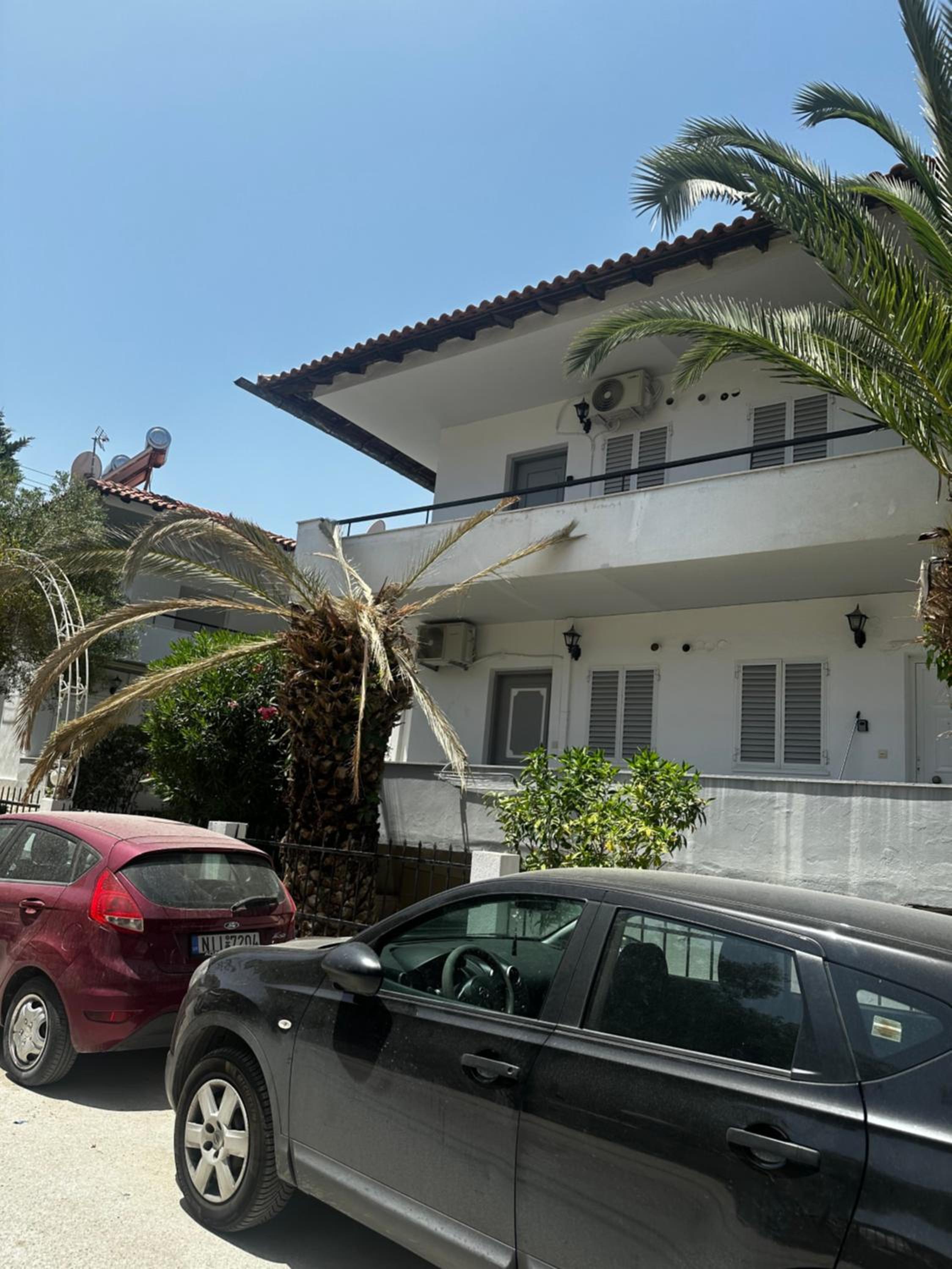 Palm trees apartment
