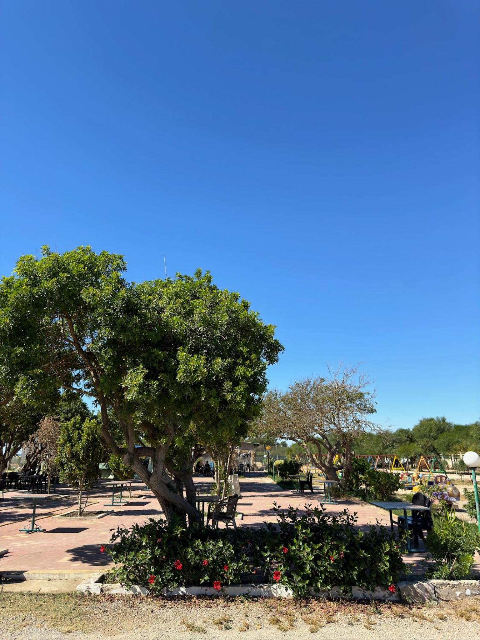 Camping Nature & Mer Tahadart - Bungalows view 2