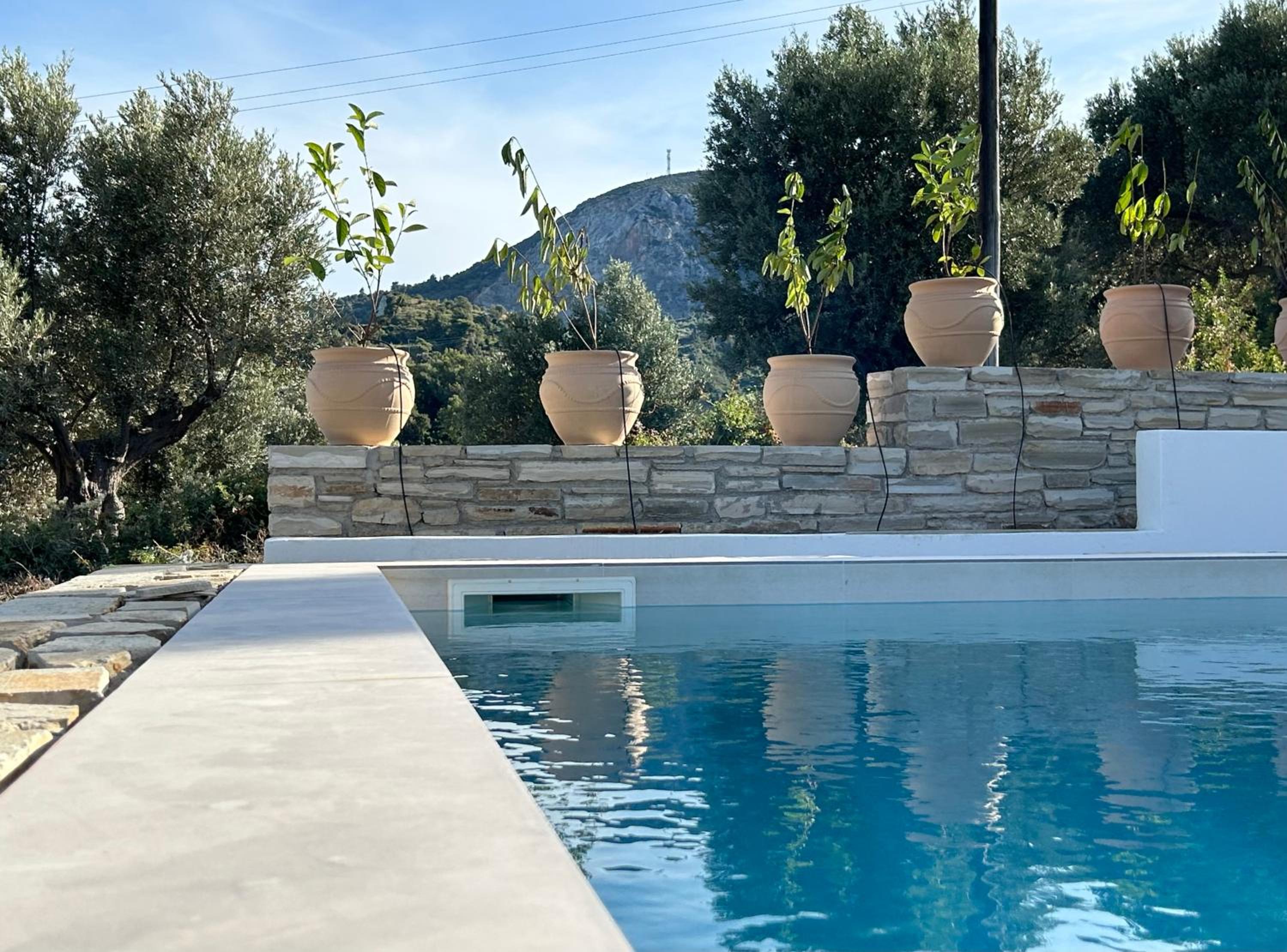 Sterna Suites